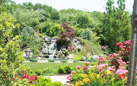 Professional landscape design