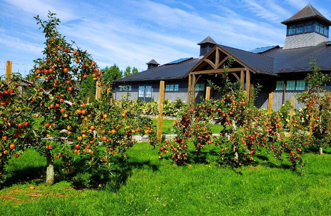 Fruit Tree Management