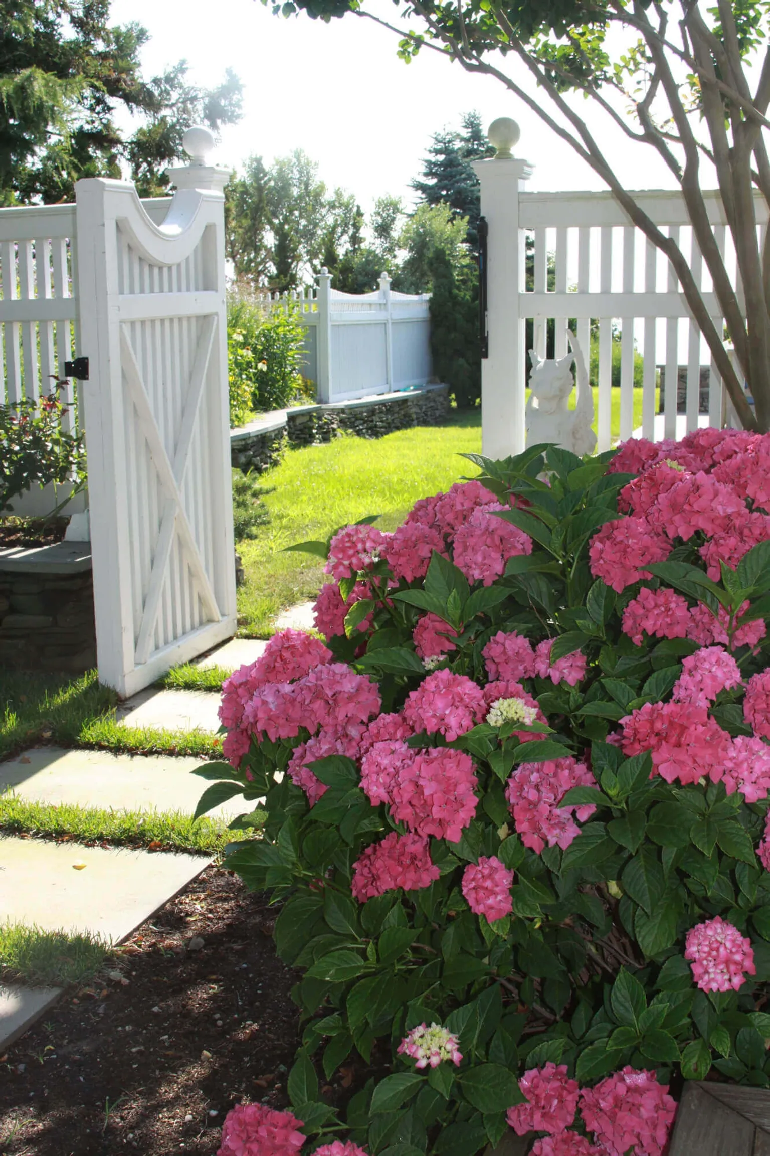 Southold Tree Services