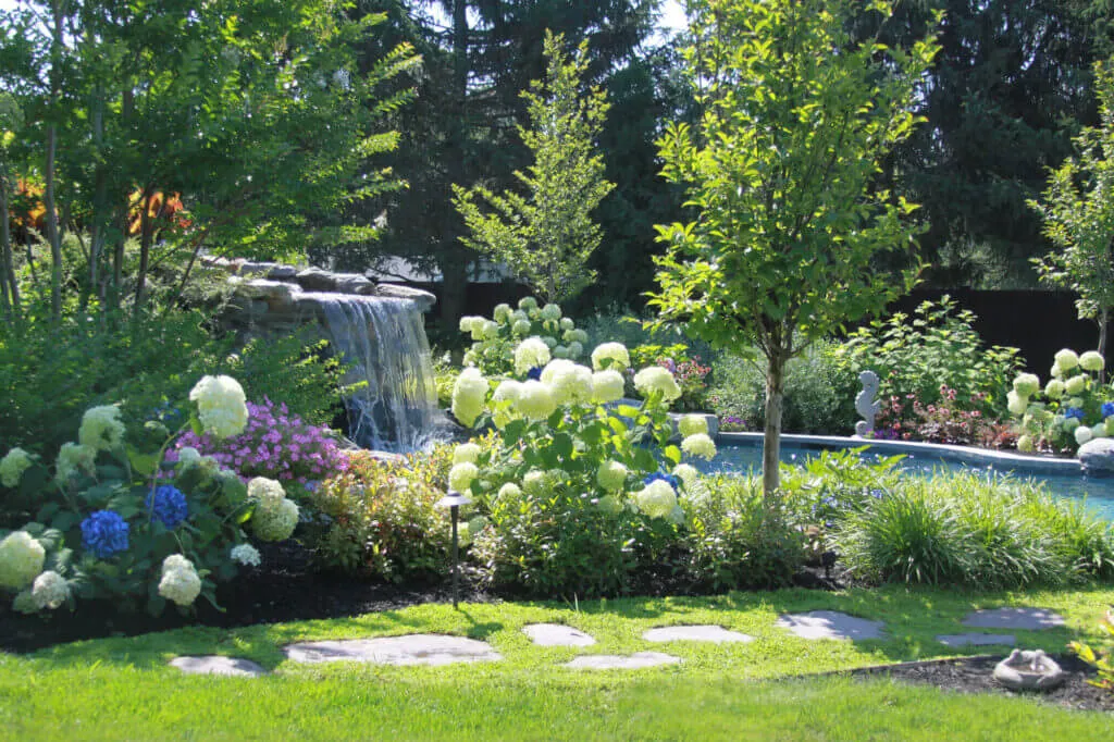 Professional landscape maintenance and design
