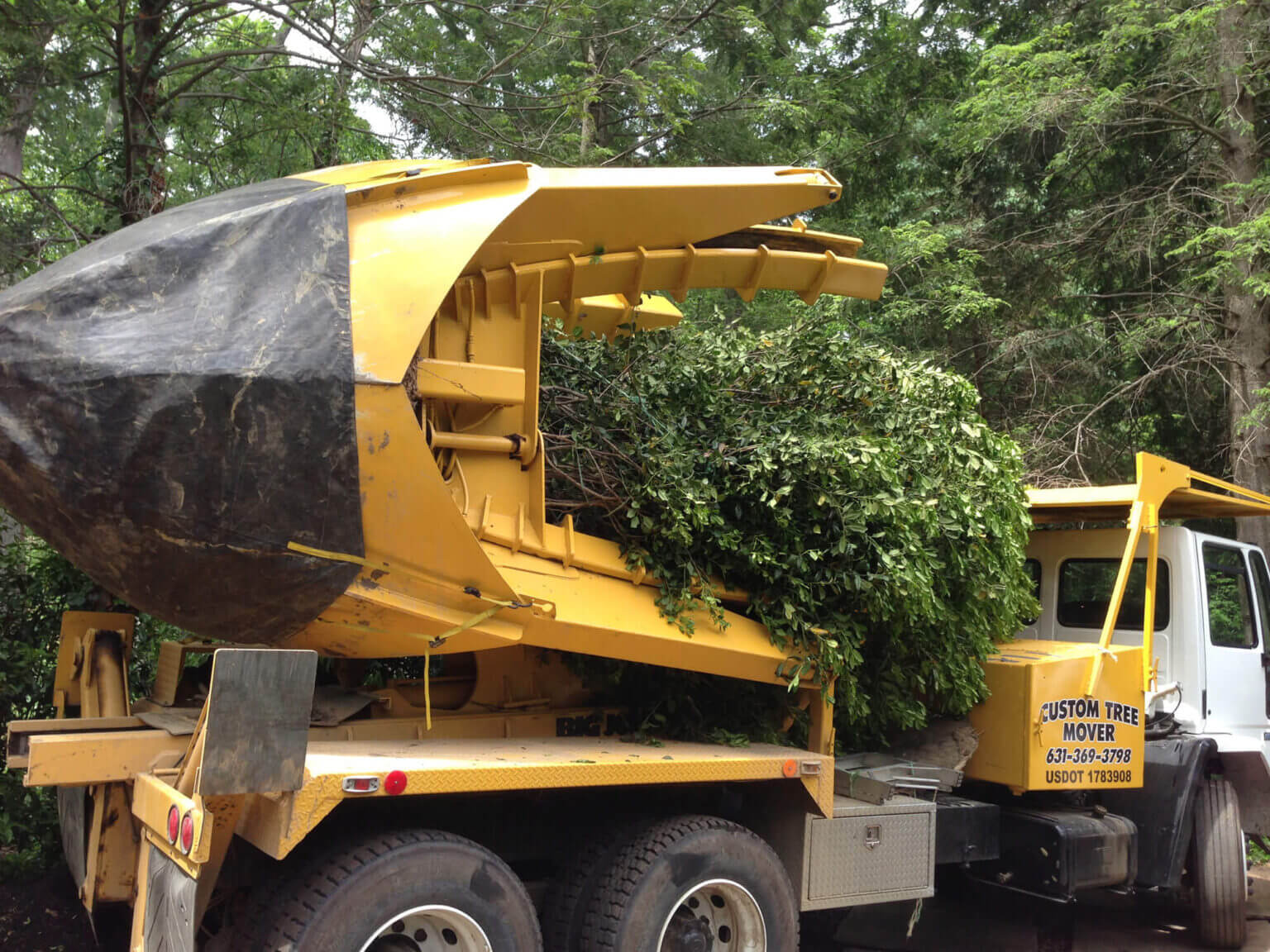 Planting project Cahill