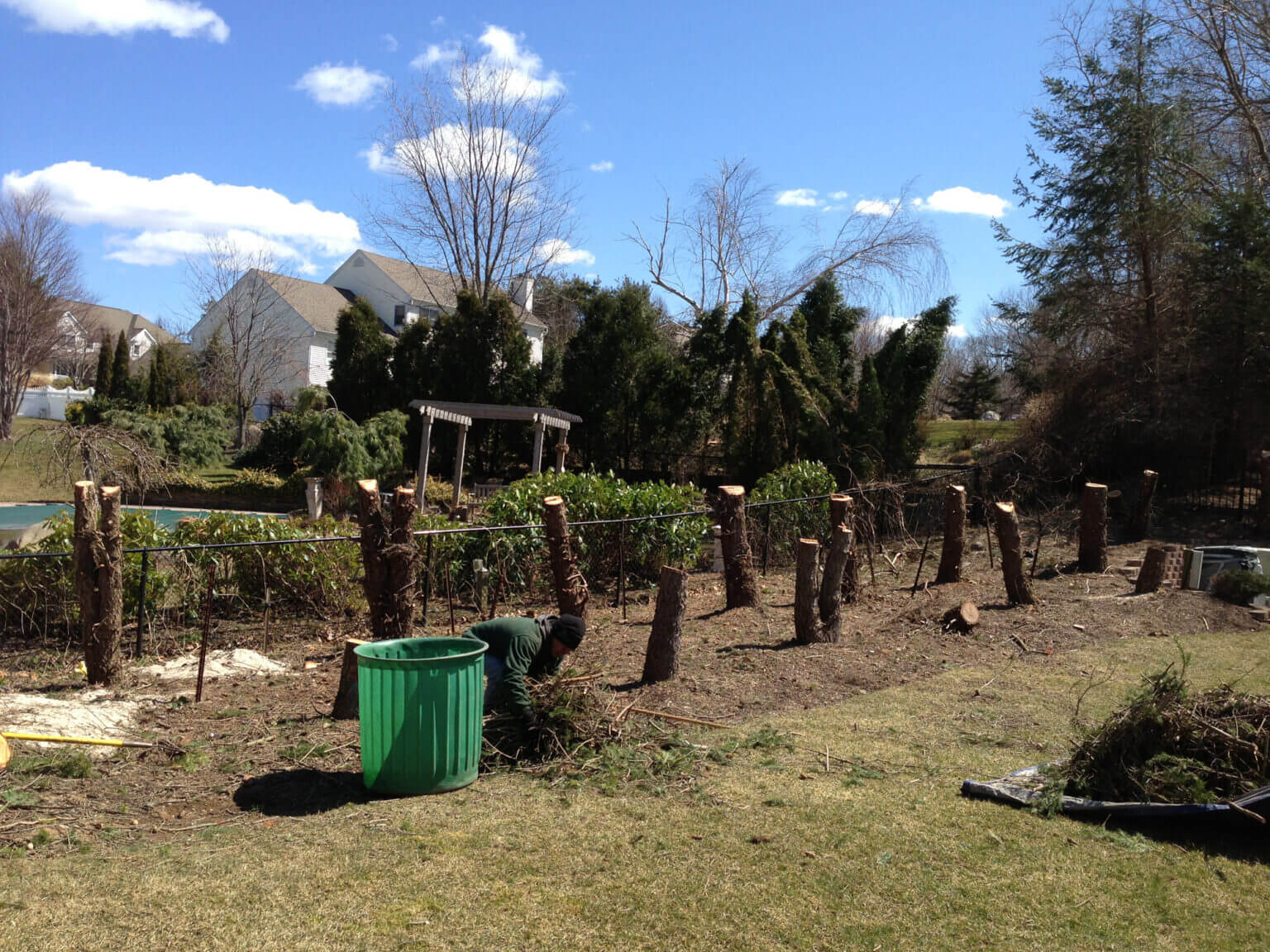 Planting project Melucci