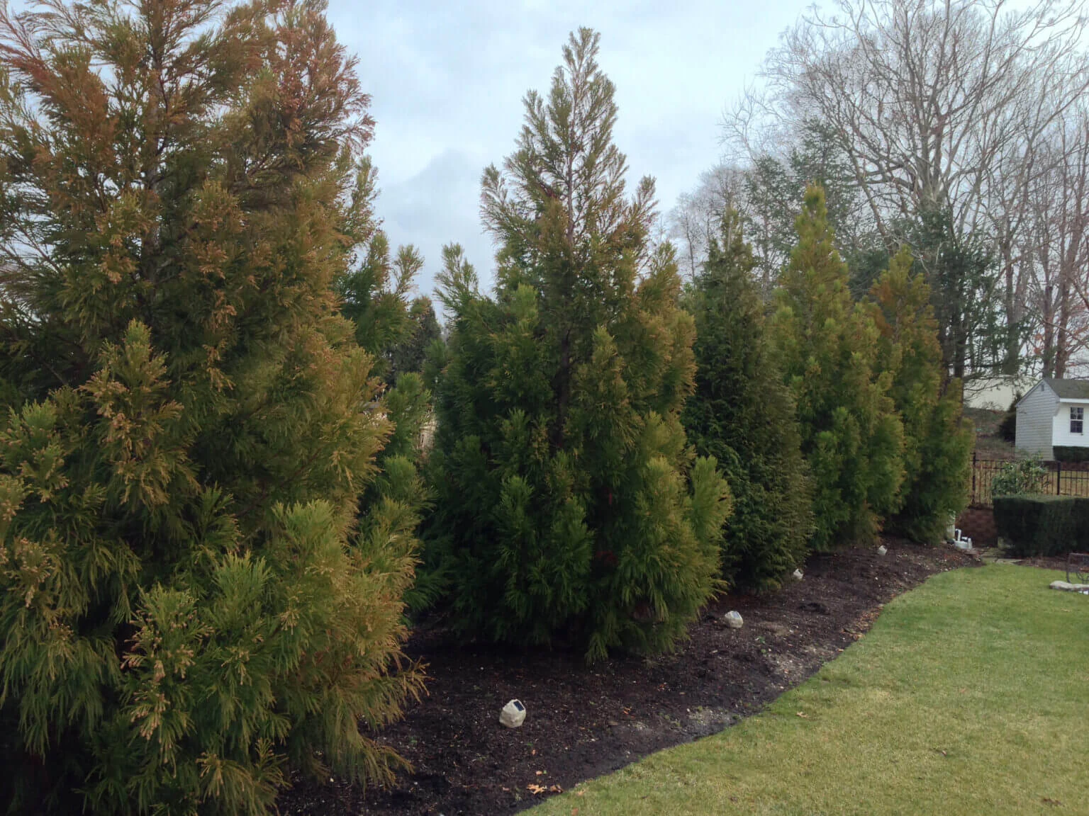 Planting services