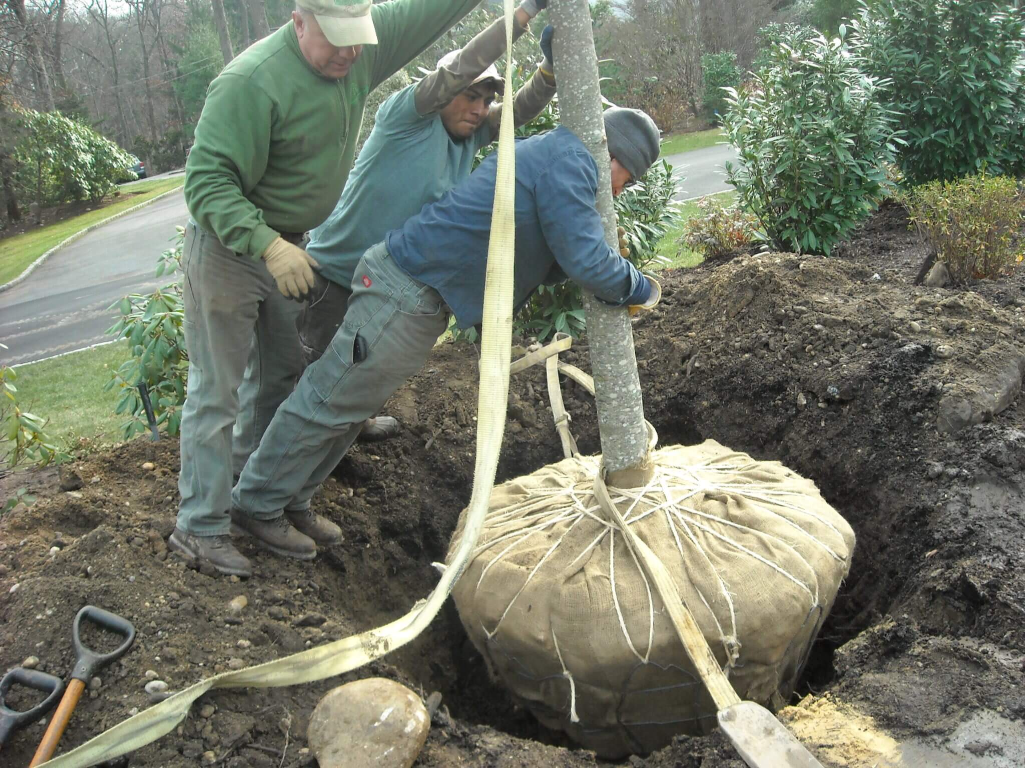 Planting installation project