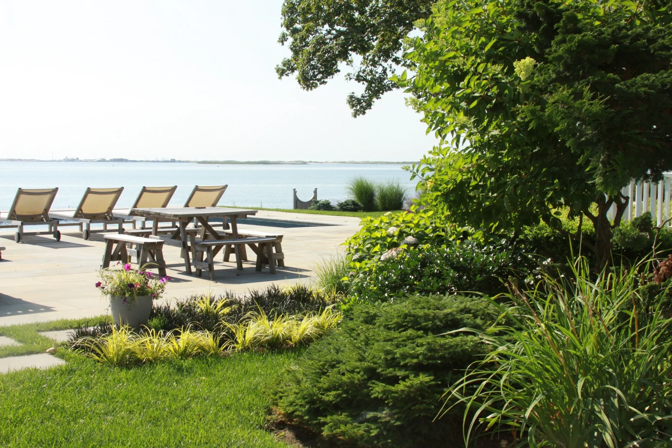 Tree services in the Hamptons