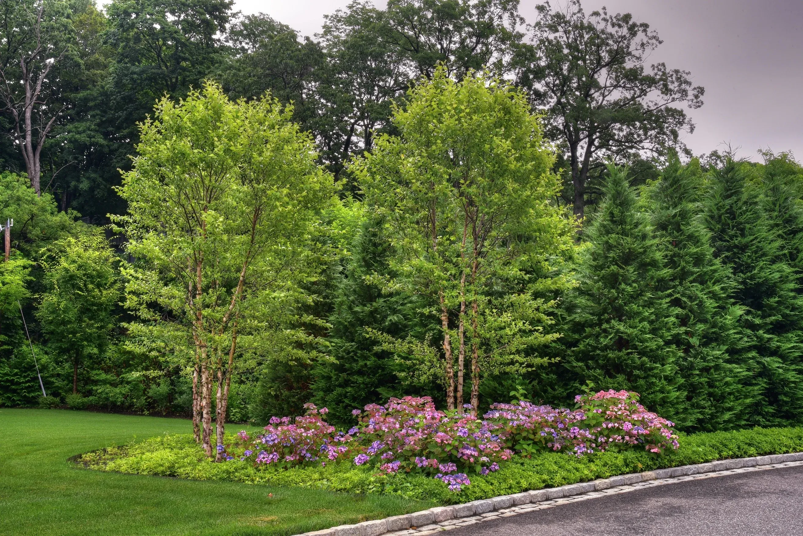 Autumn landscape tree care in North Shore Nassau