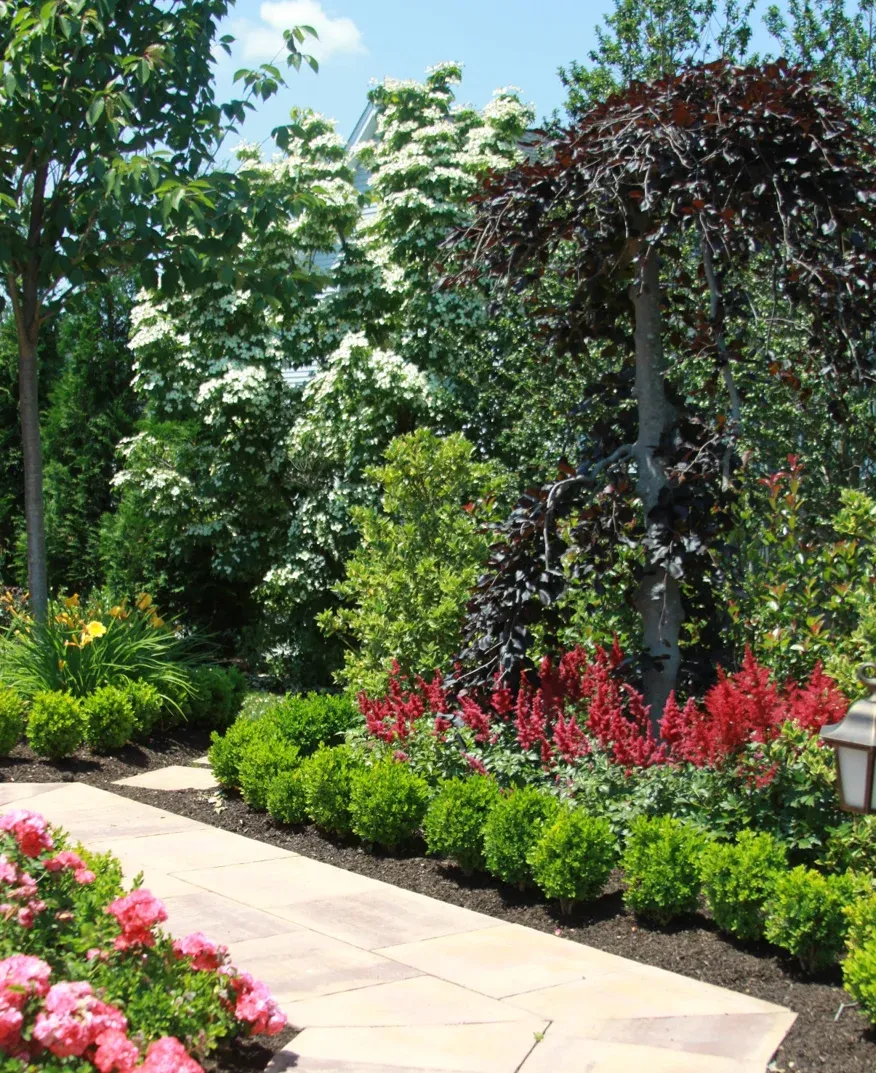Nassau South Shore property care