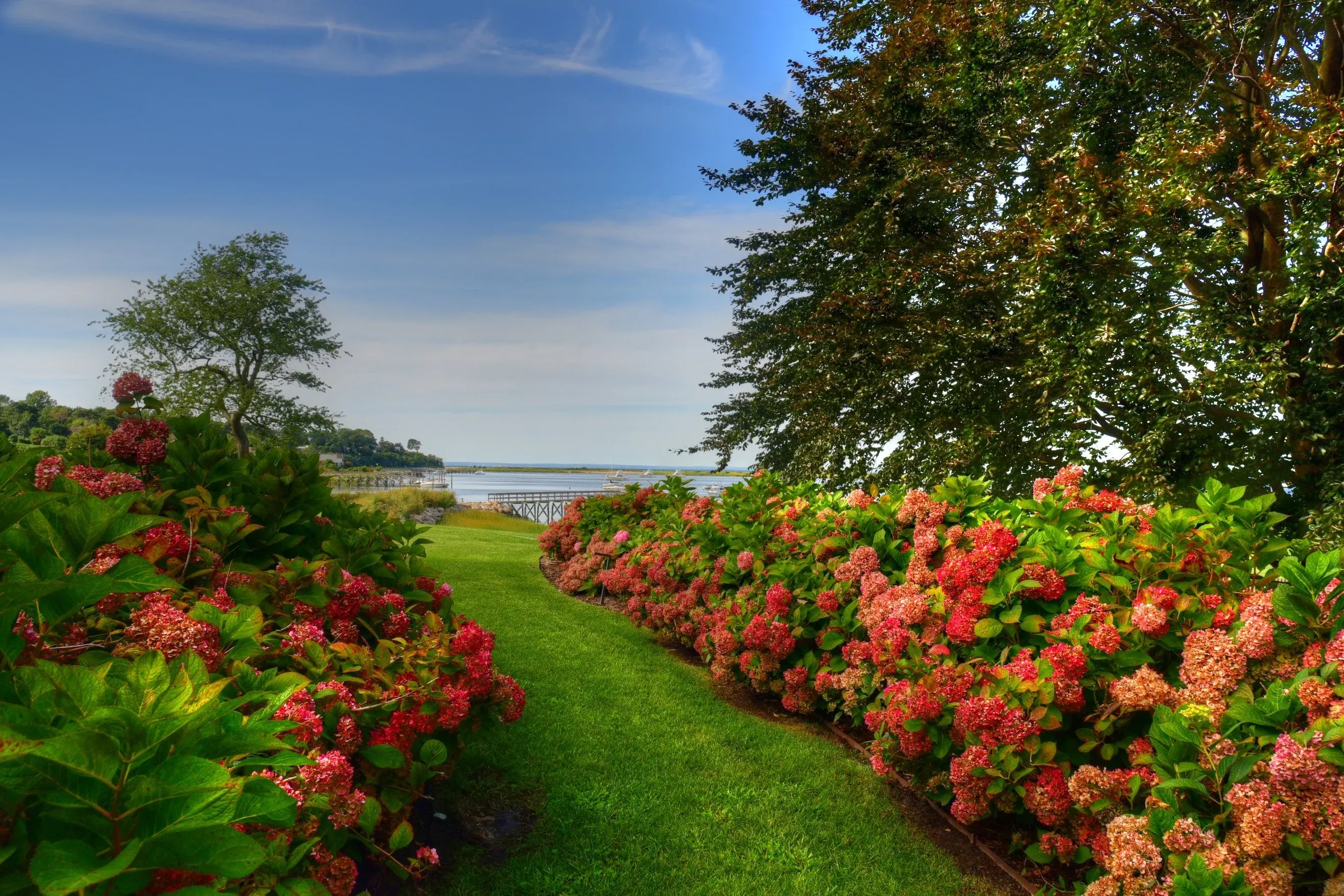 North Fork tree services