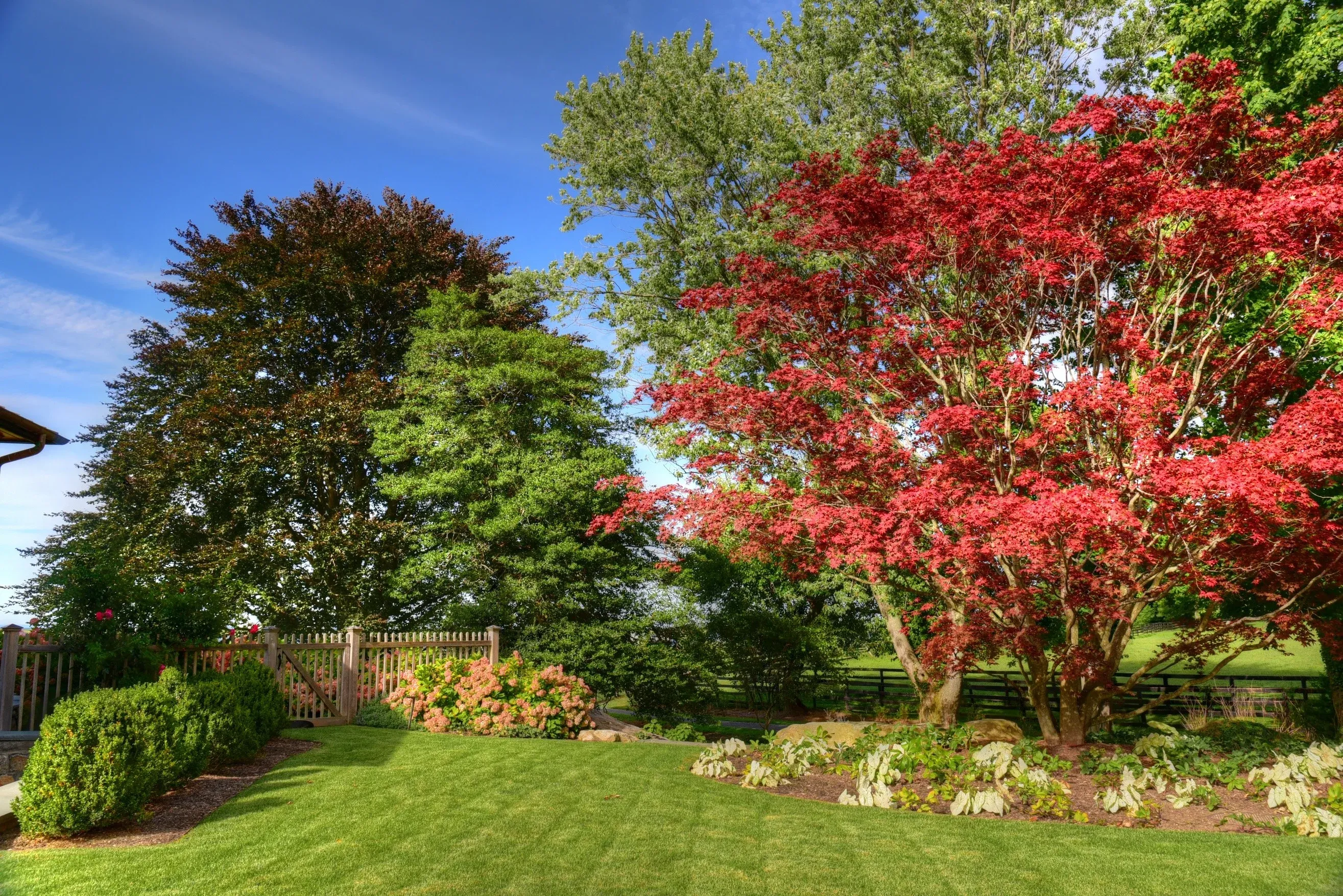 Professional landscape design