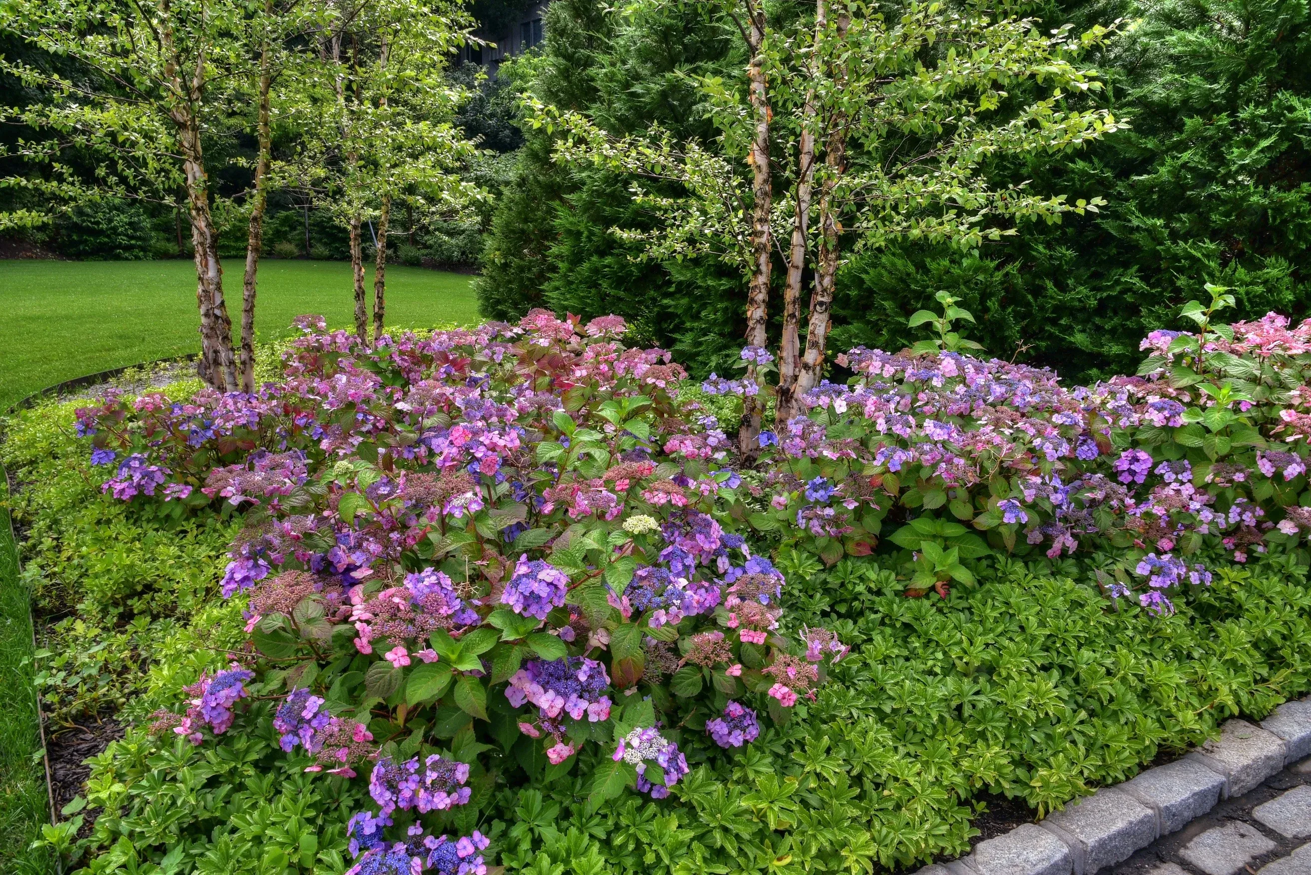 North Shore Nassau property care