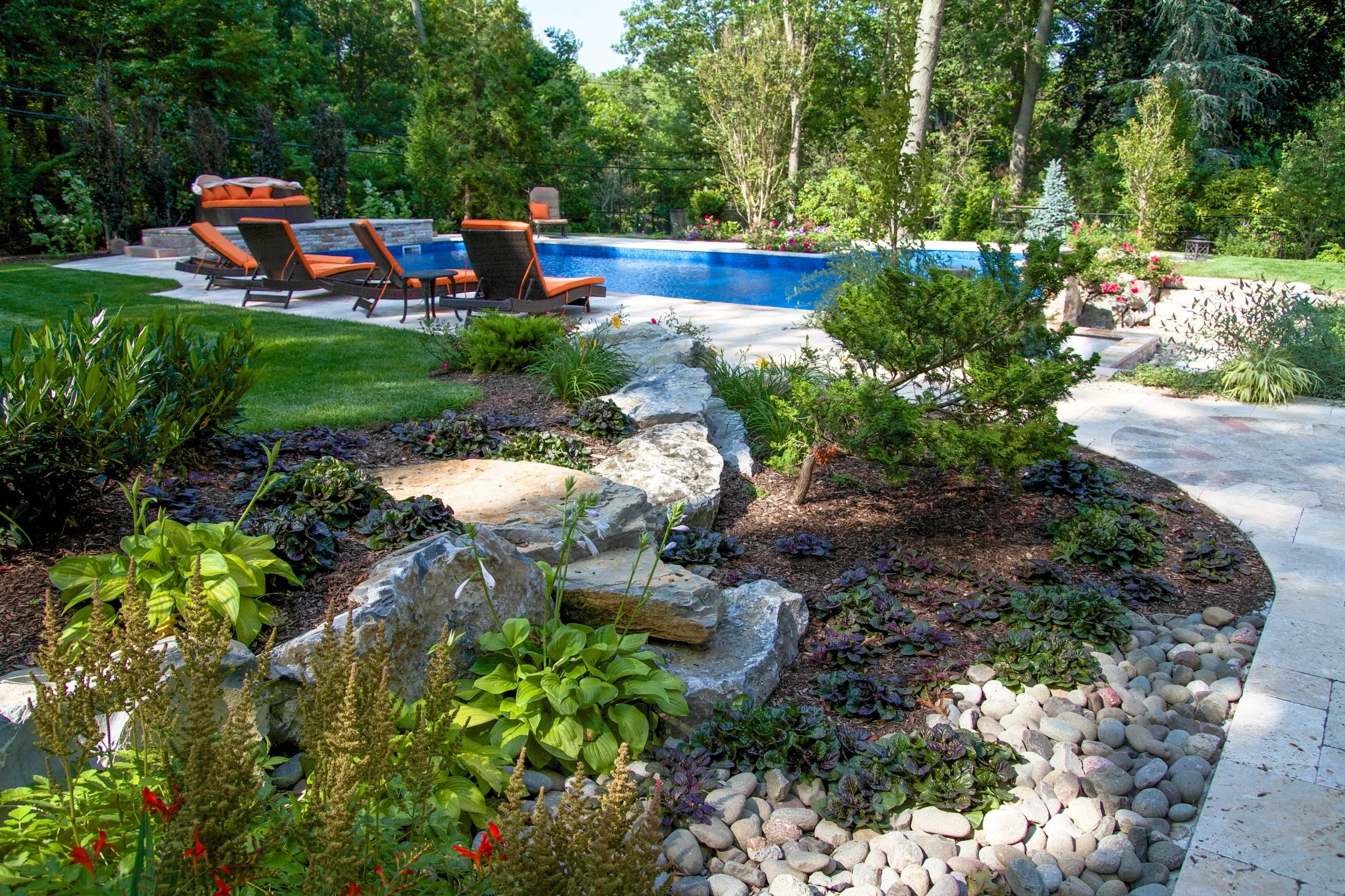 Tree services in North Shore Suffolk
