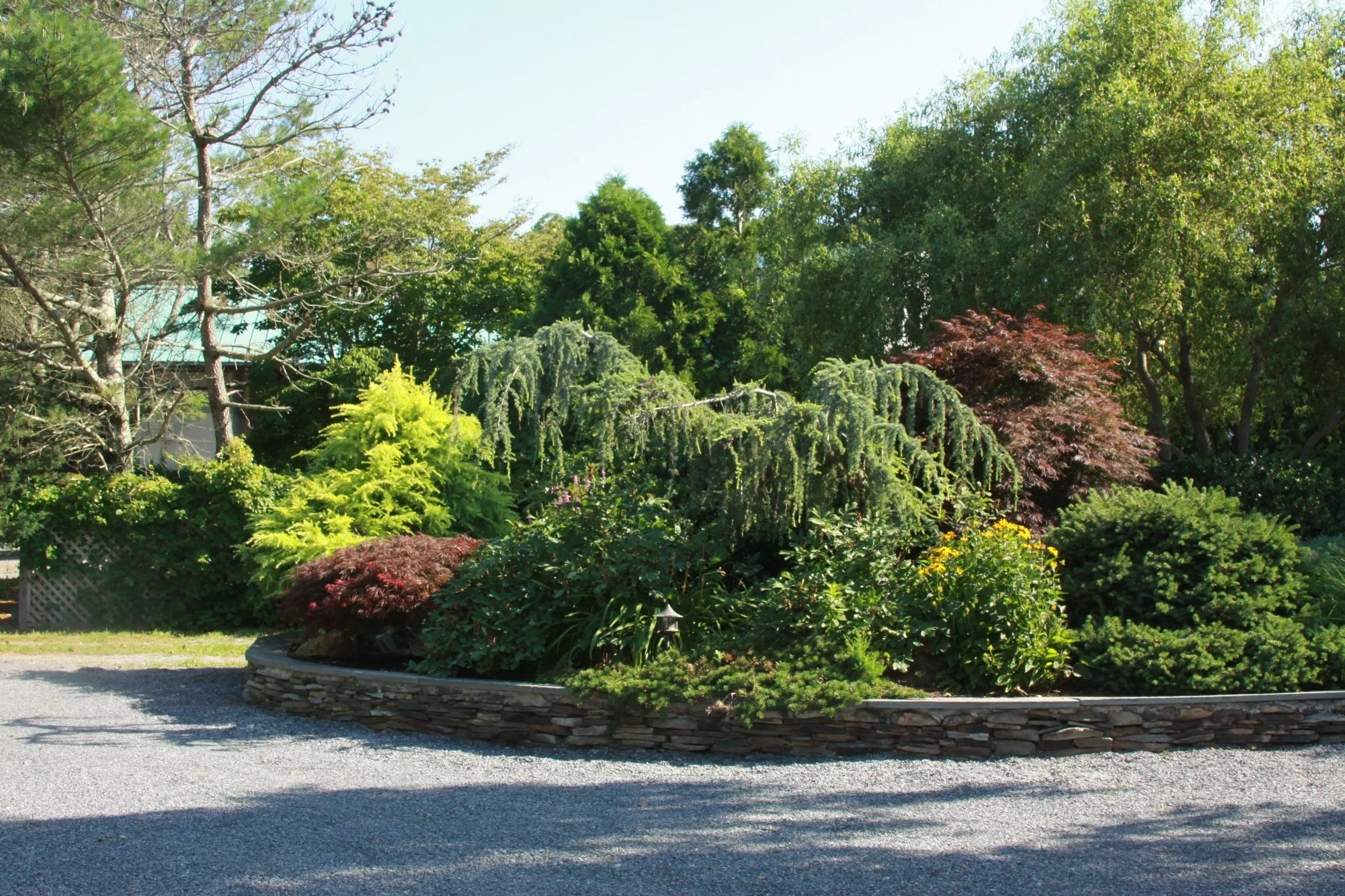 Northport Tree Services