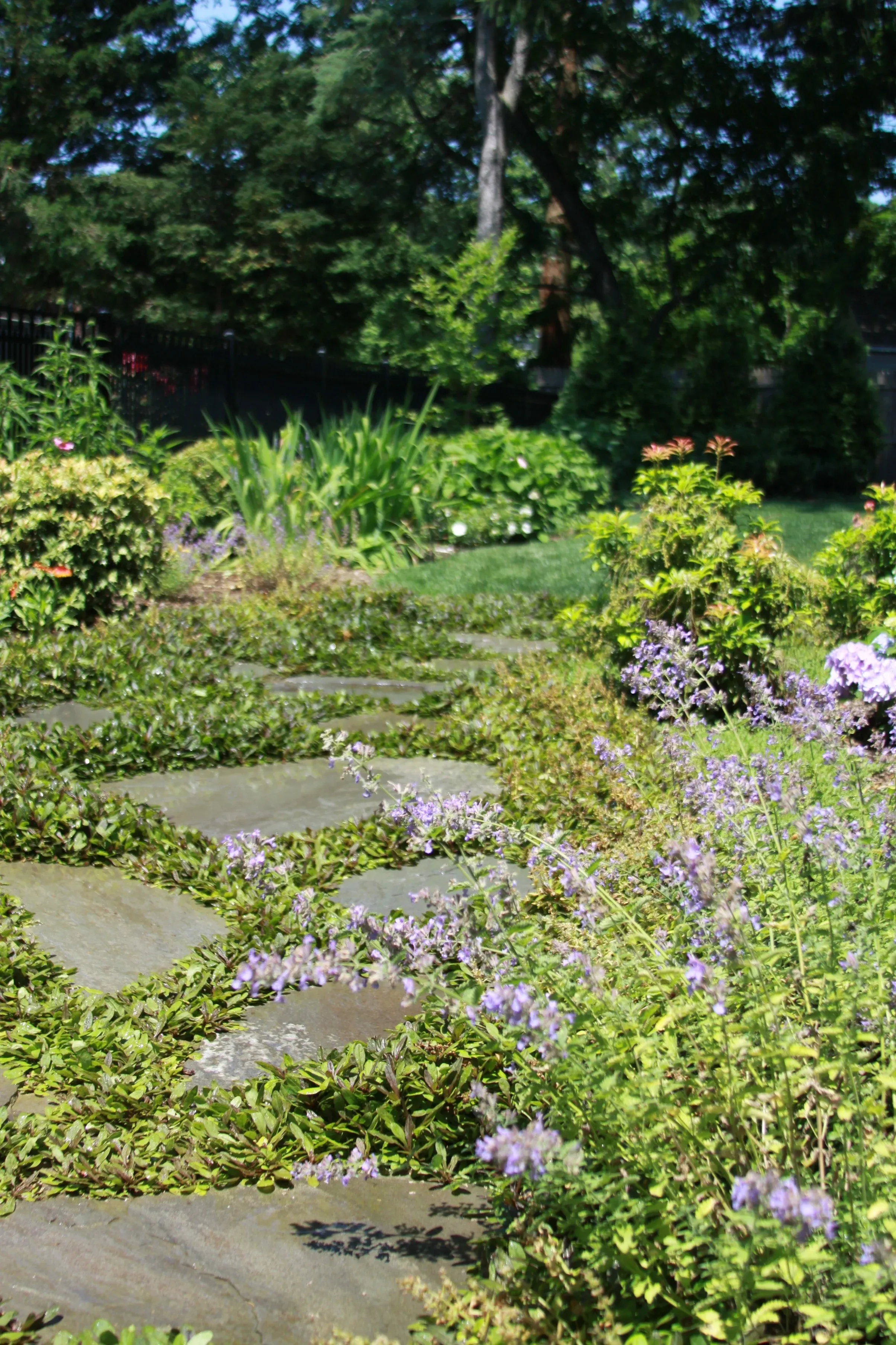 Northport property care