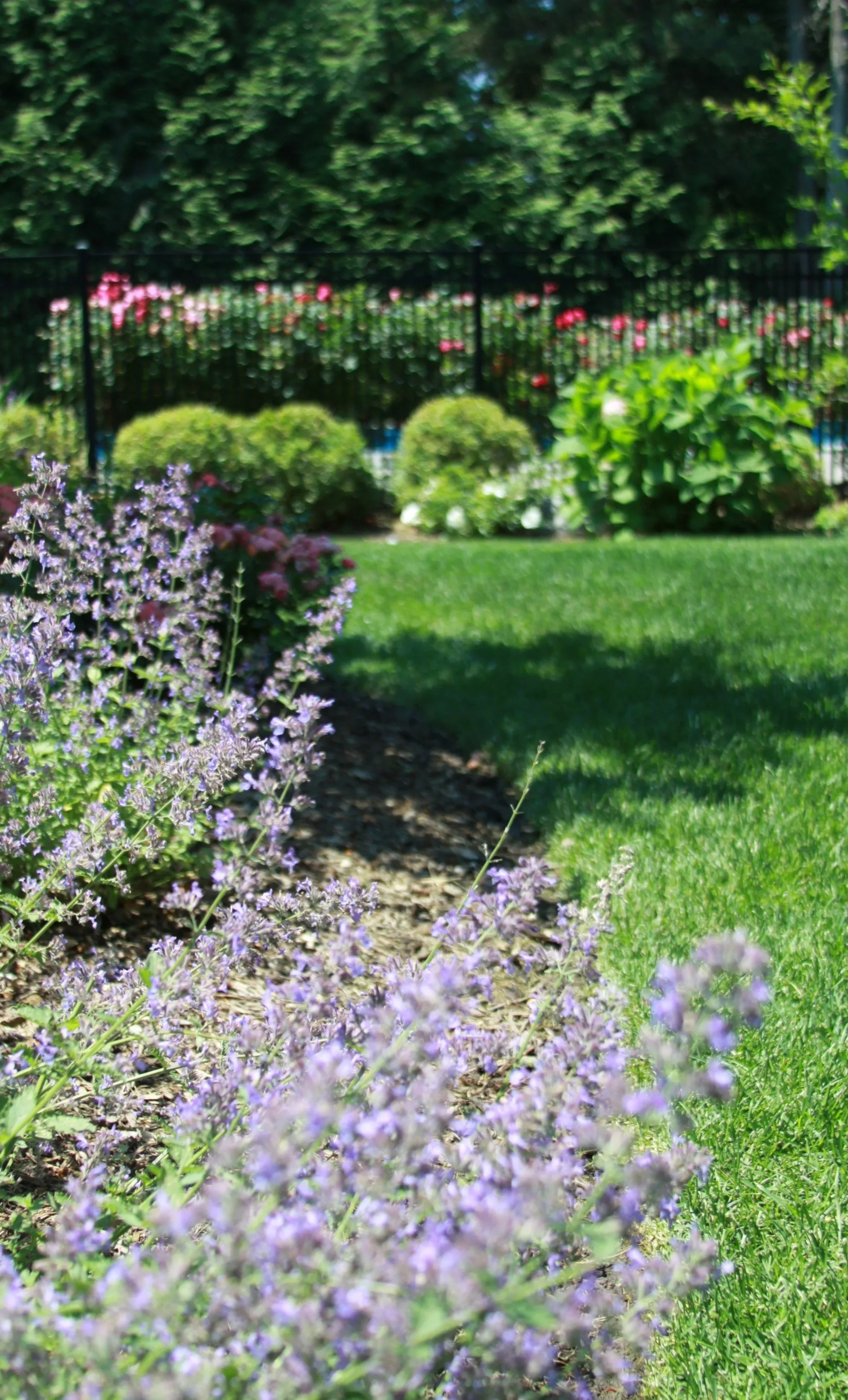 Tree services in Northport