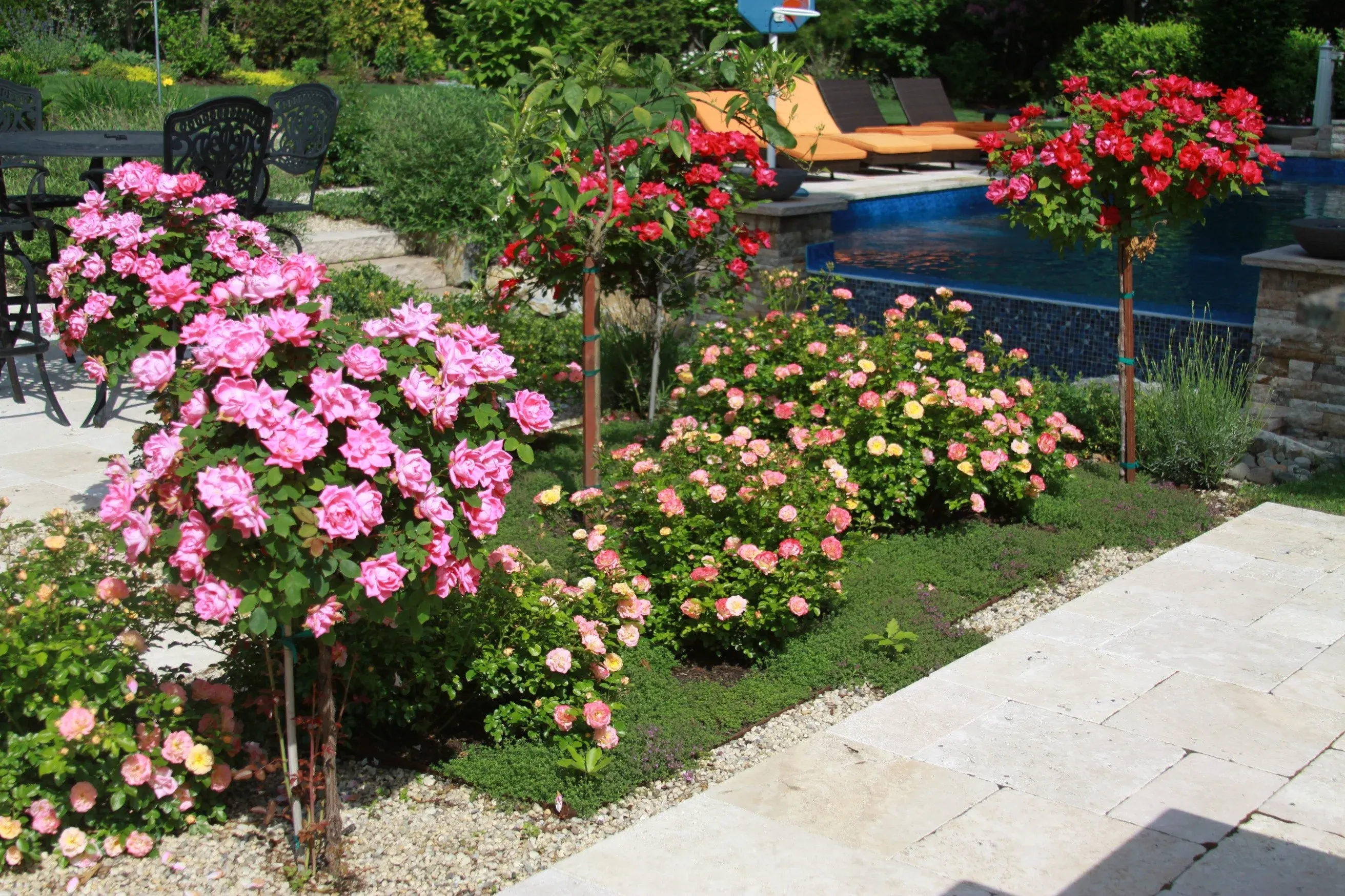Oyster Bay Tree Services