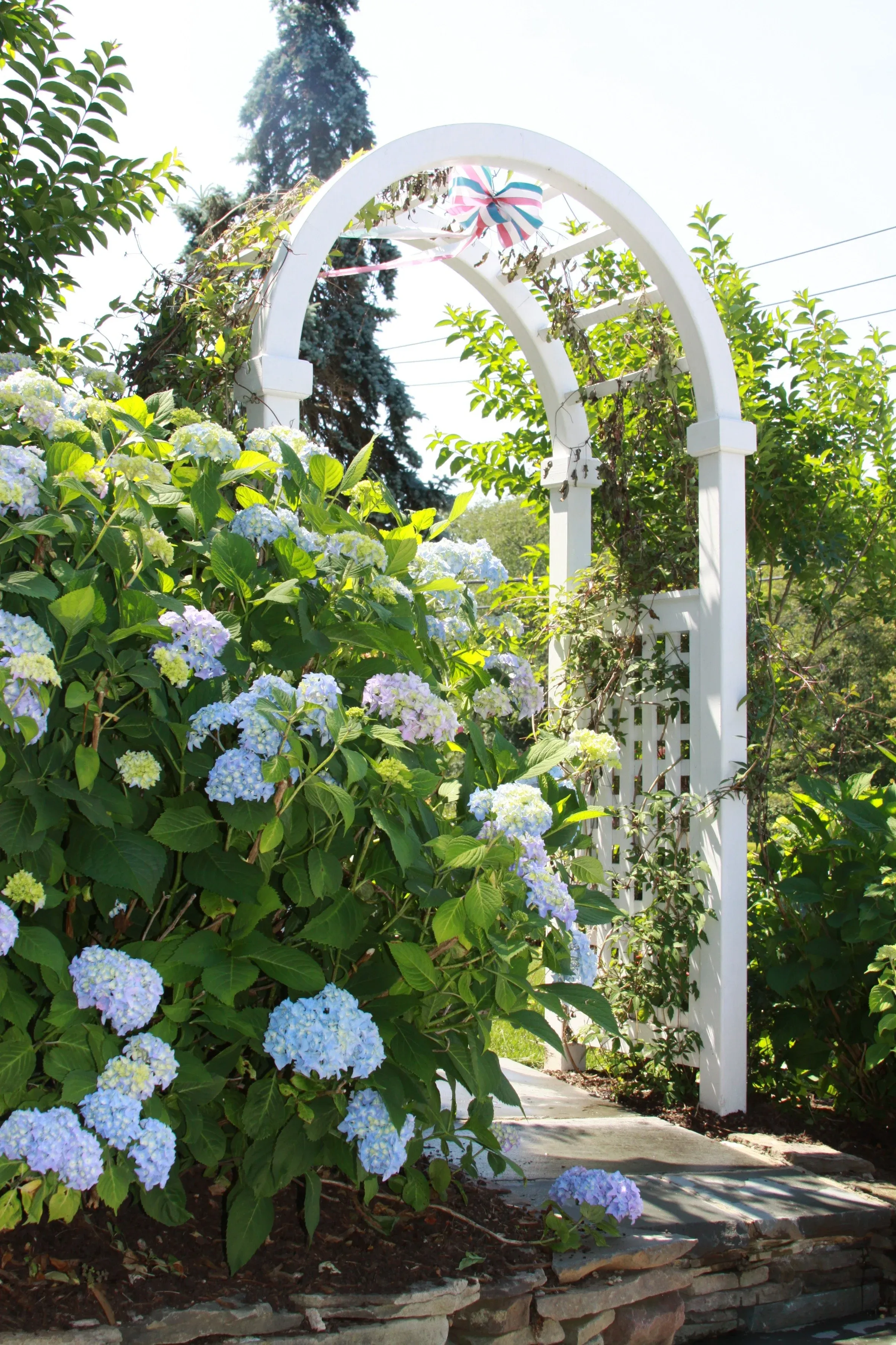 Oyster Bay property care