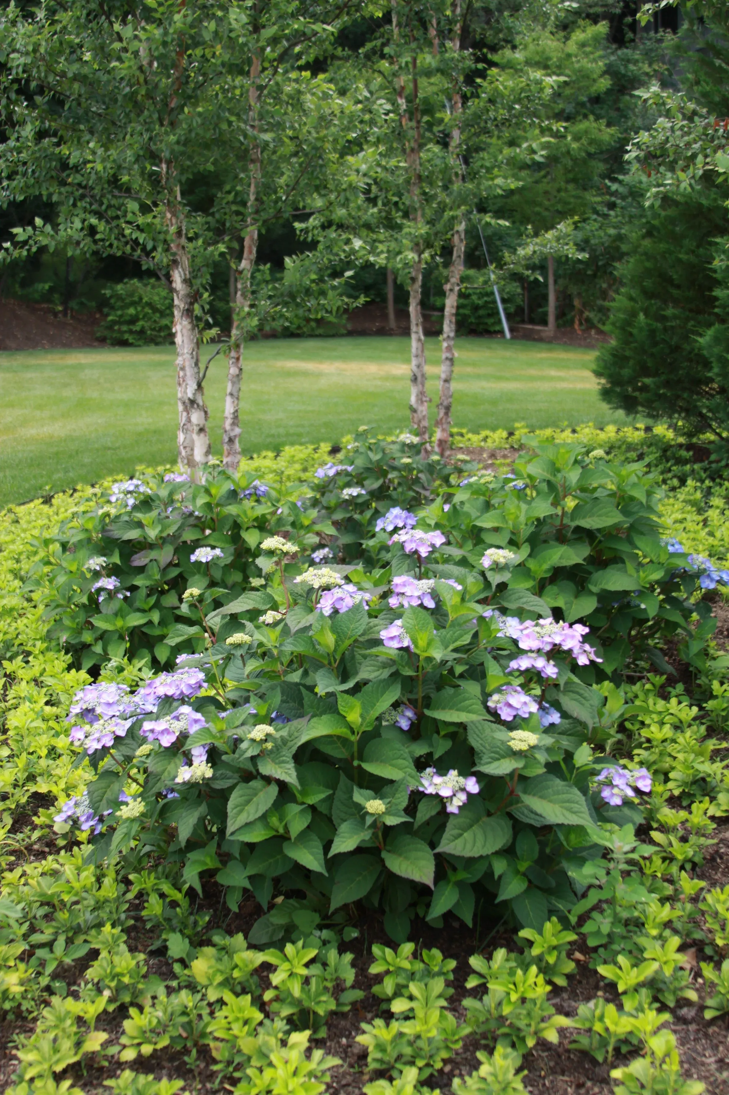 Smithtown property maintenance