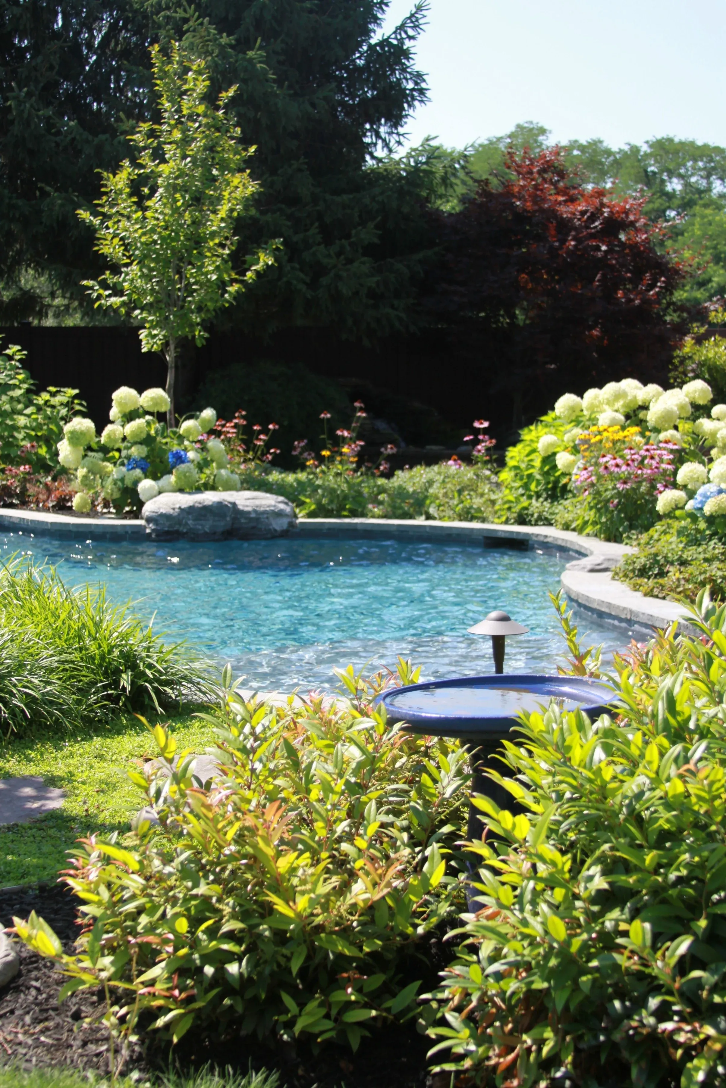 Tree services in Suffolk South Shore