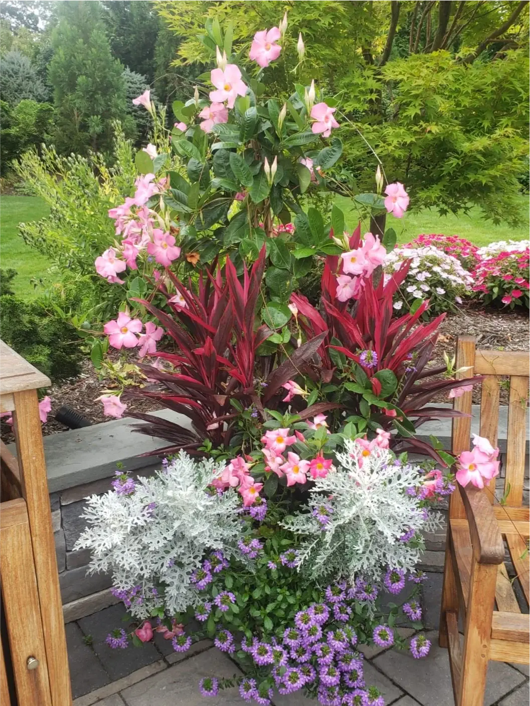 Organically Green horticultural services in action