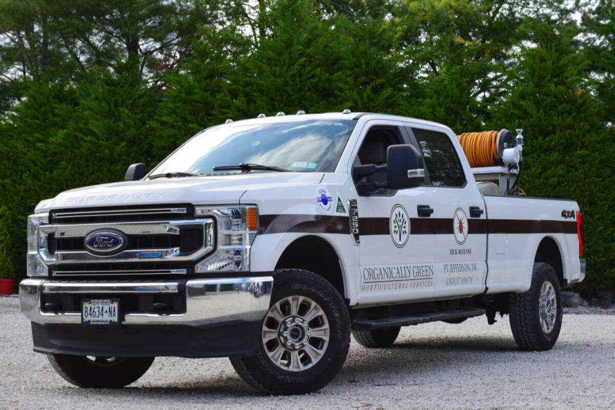 Inchworm control for spring tree protection