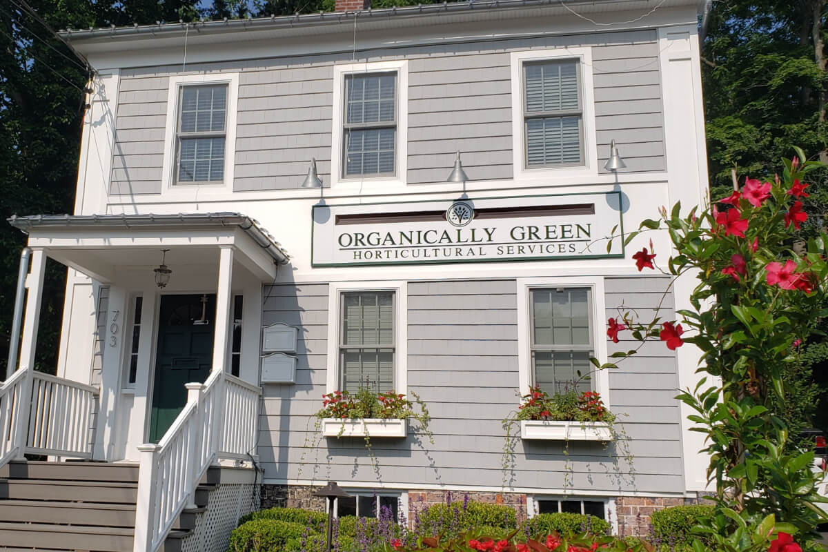 Organically Green Newsletter