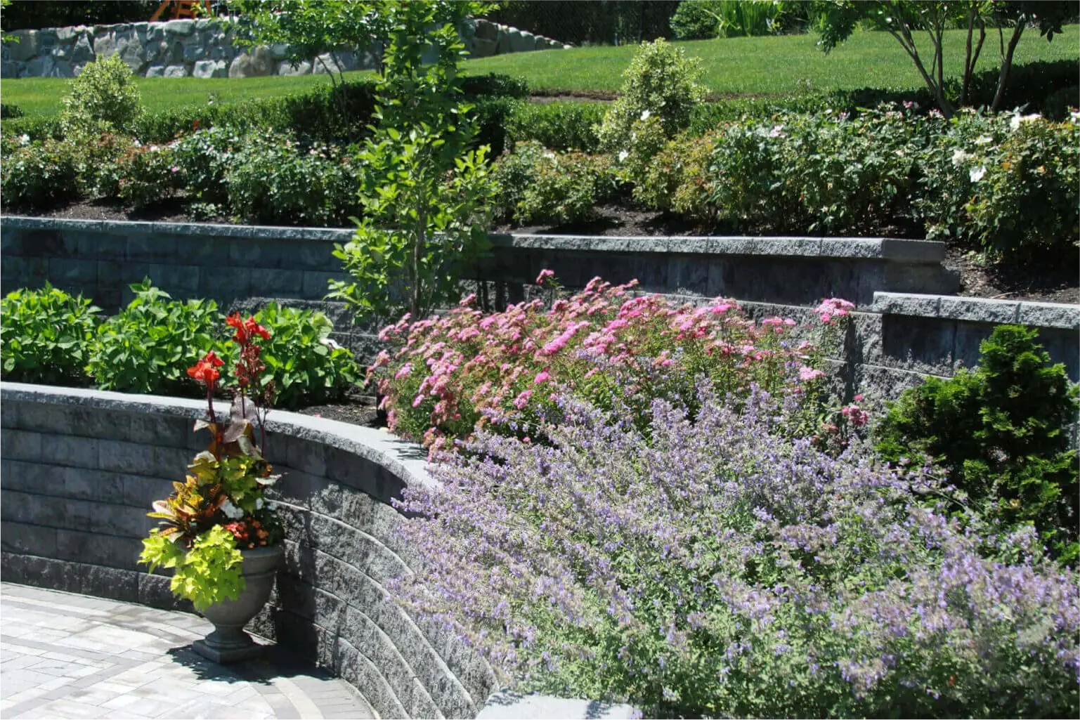 Organically Green landscape design portfolio