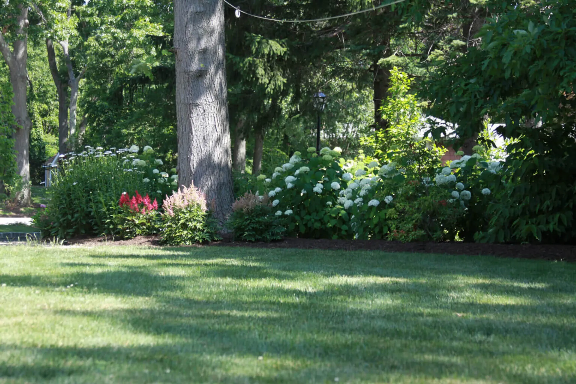 Beautiful lawn with professional planting services