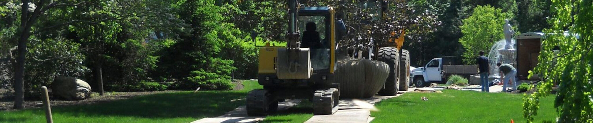 Professional tree and shrub transplanting services