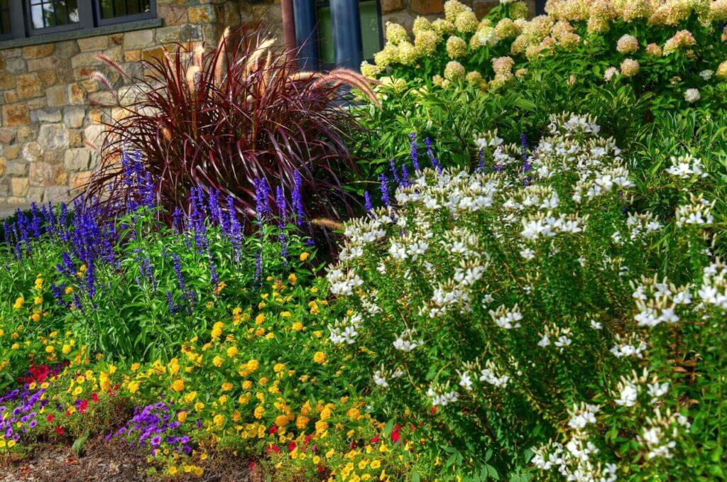 Natural flower landscaping