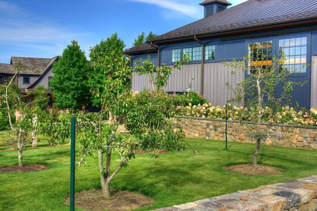 Professional tree care on the North Fork