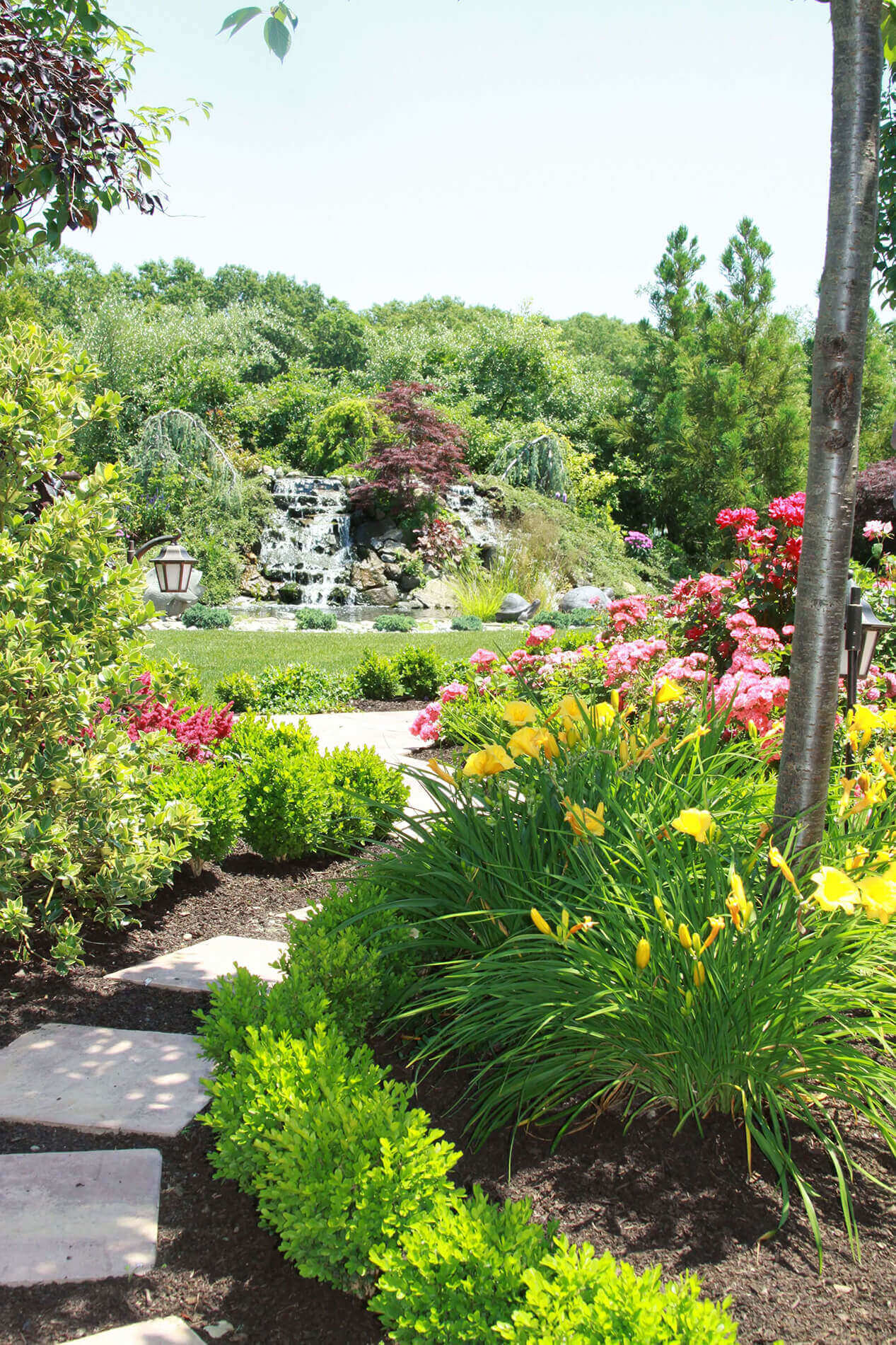 Professional street tree pruning and maintenance services