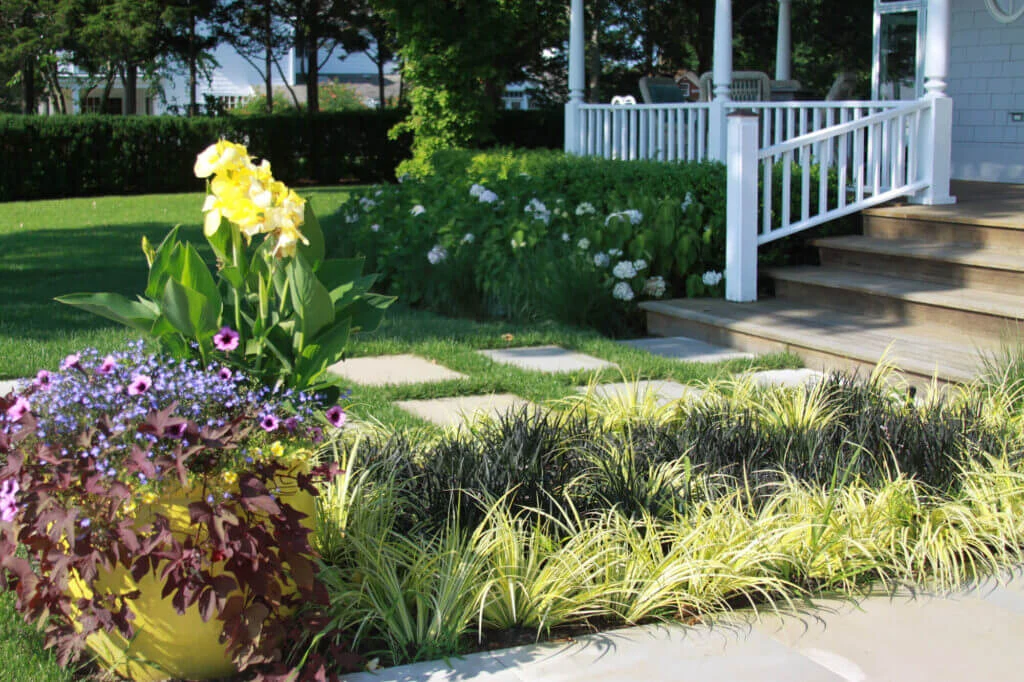 Plants along walkway installation