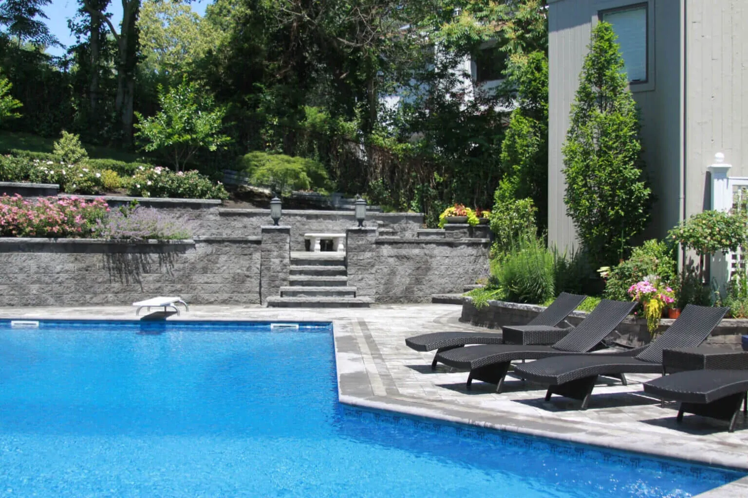Professional tree and landscape care services