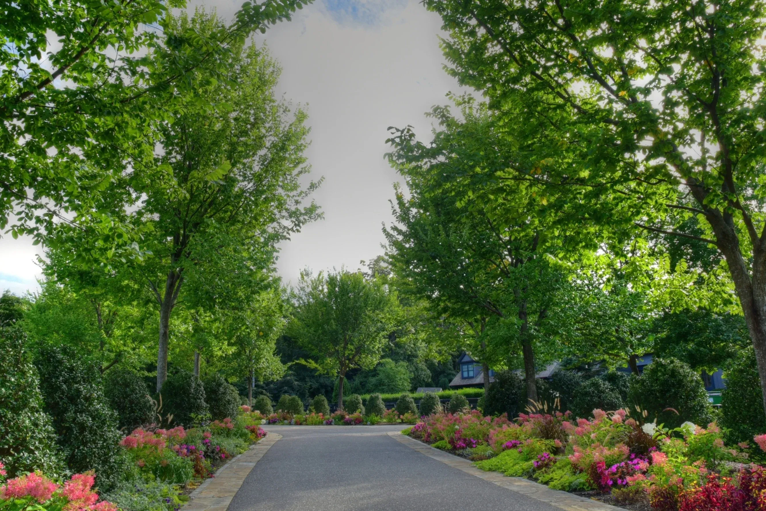 Flowers along driveway