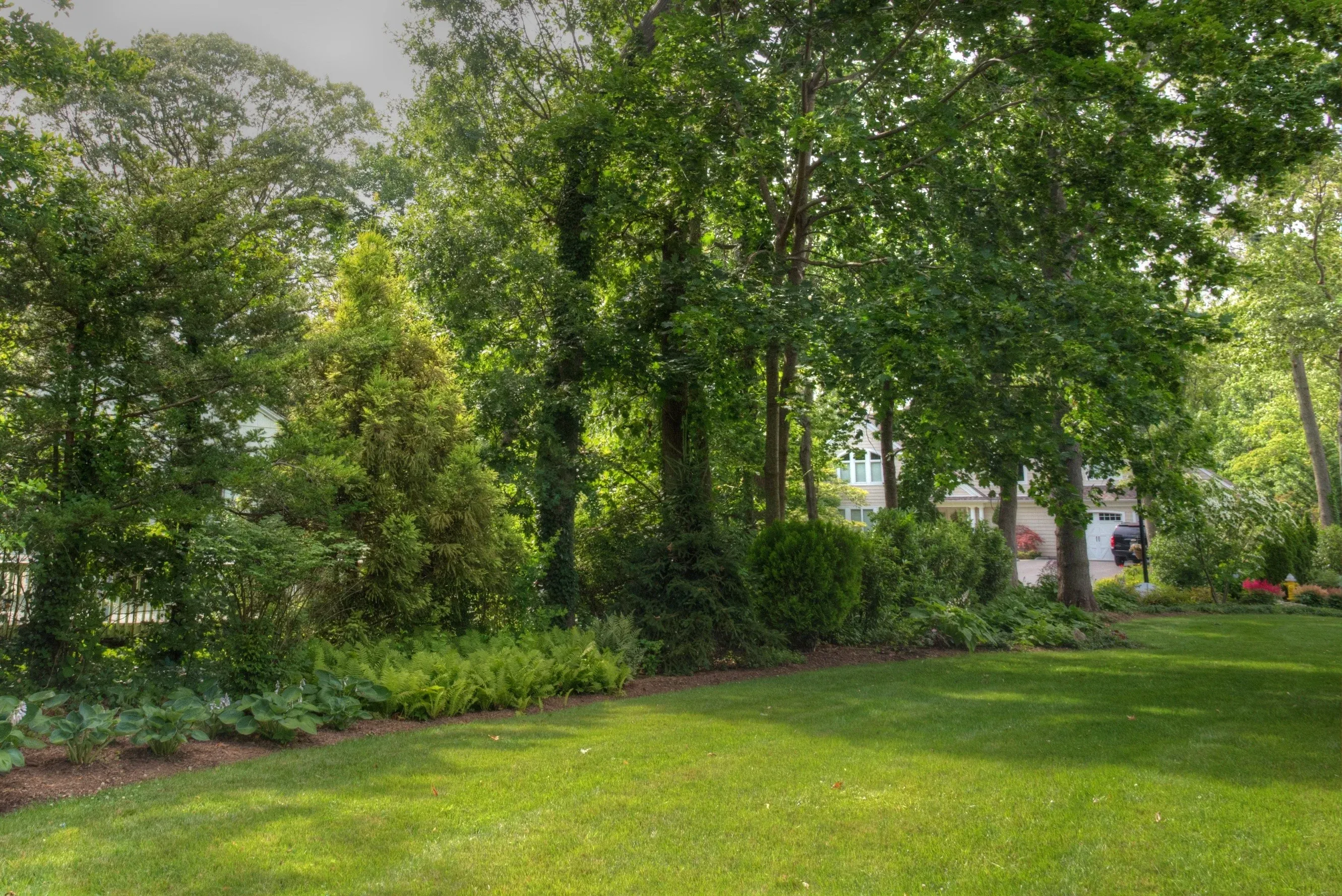 Green lawn