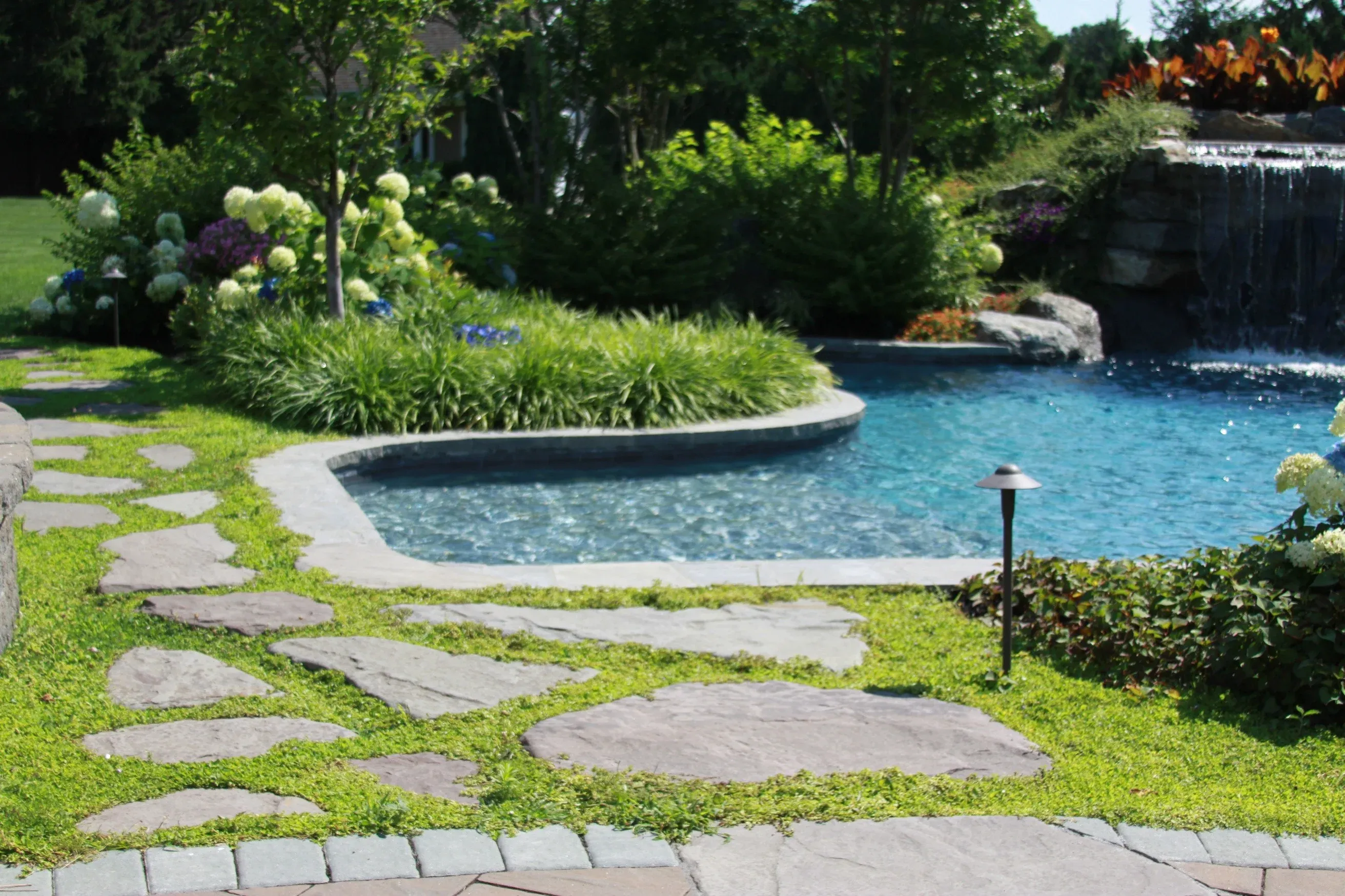 Suffolk South Shore Tree Services