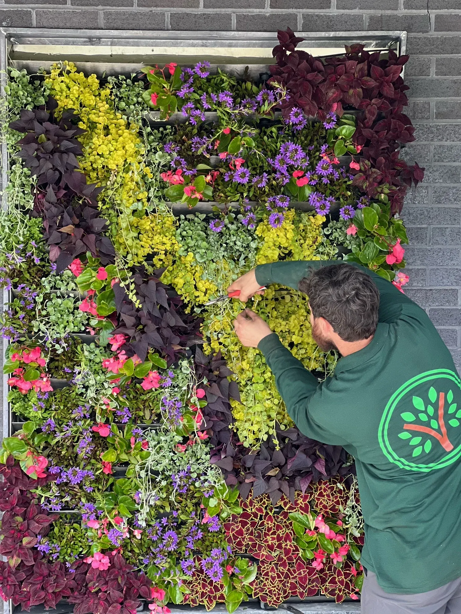 Flower bush wall