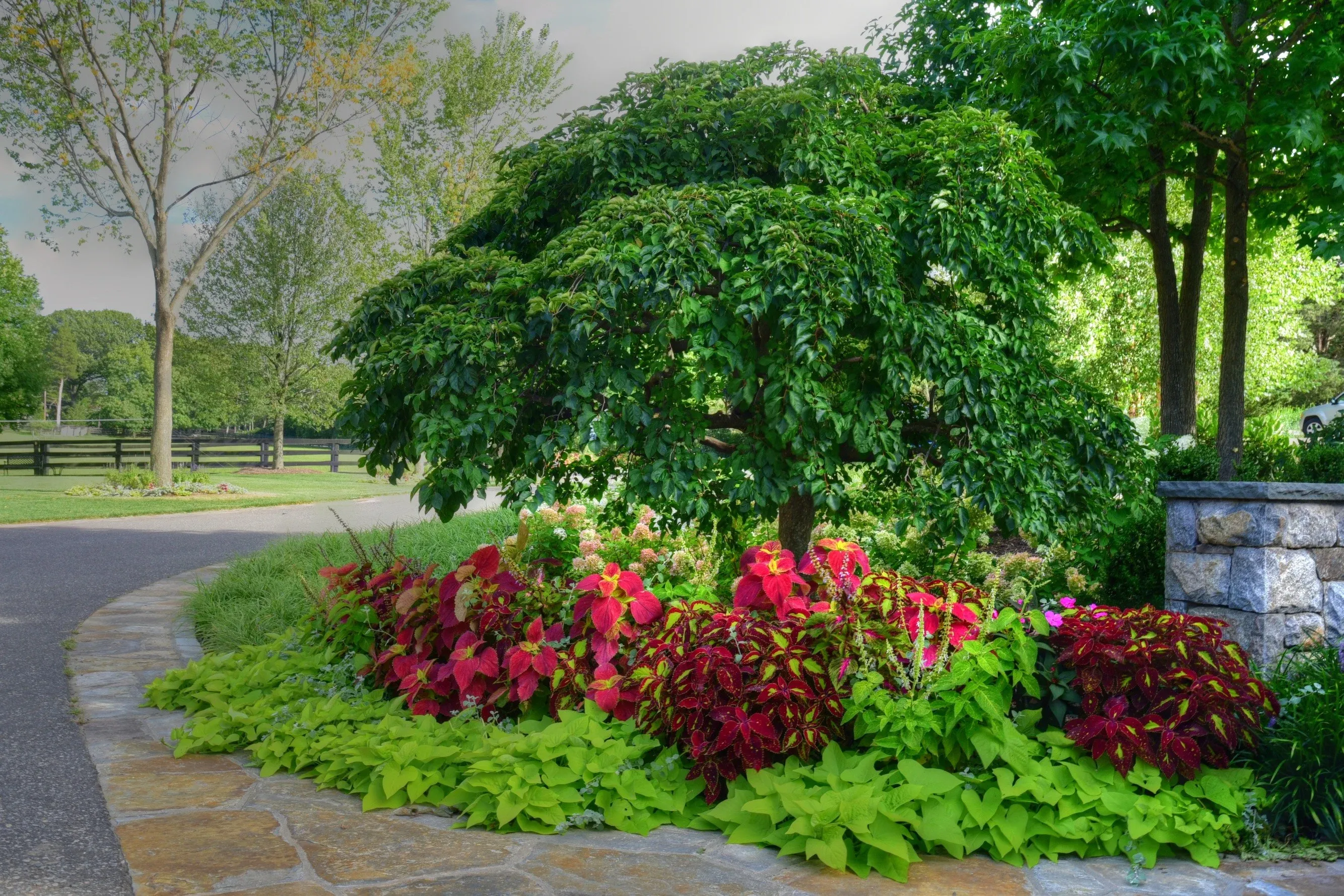 Flowers along walkway