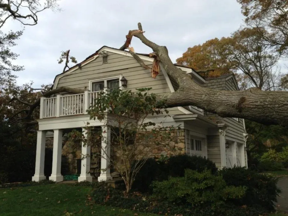 24/7 emergency tree services and rapid storm damage response