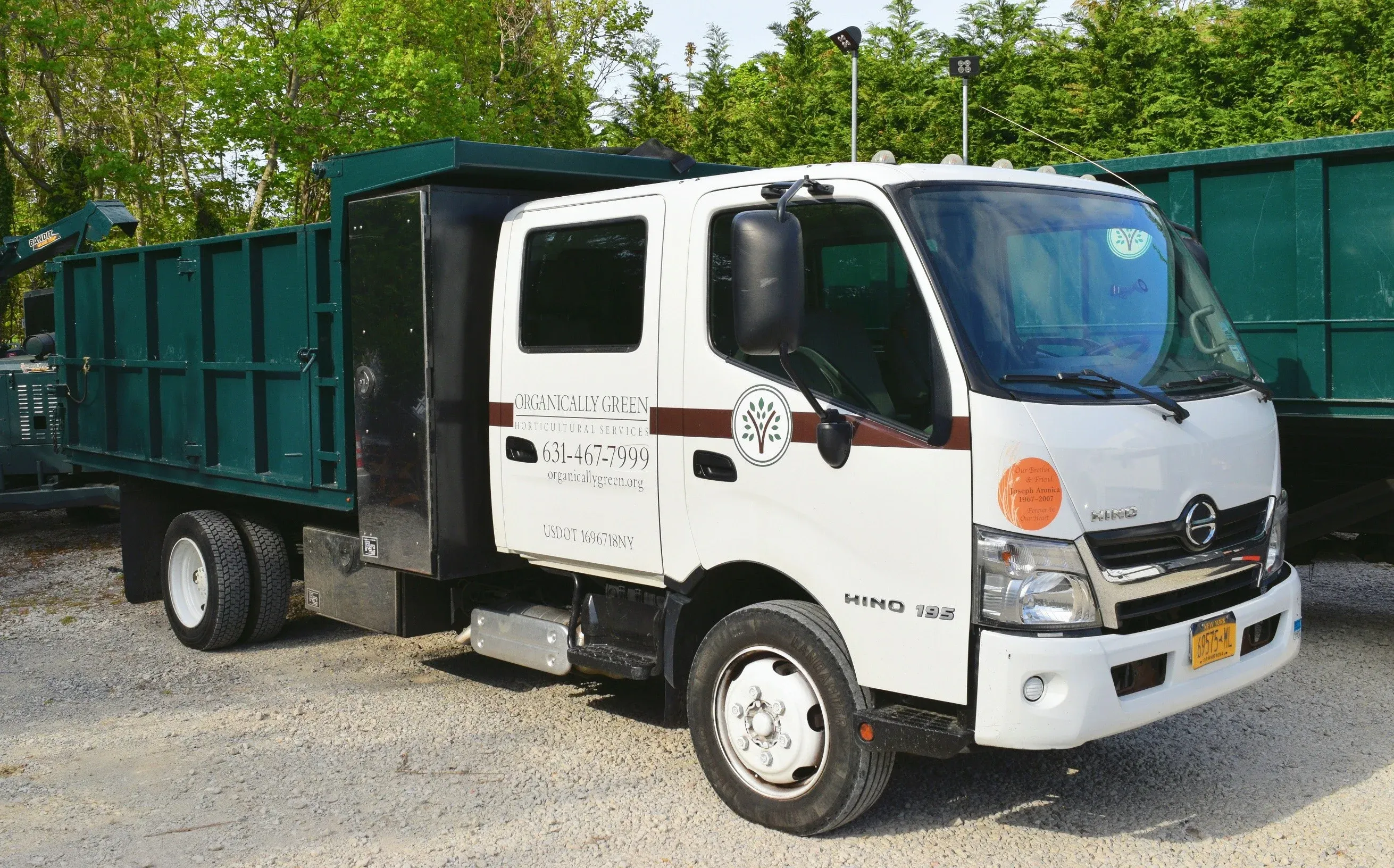 Professional emergency tree removal and storm damage cleanup