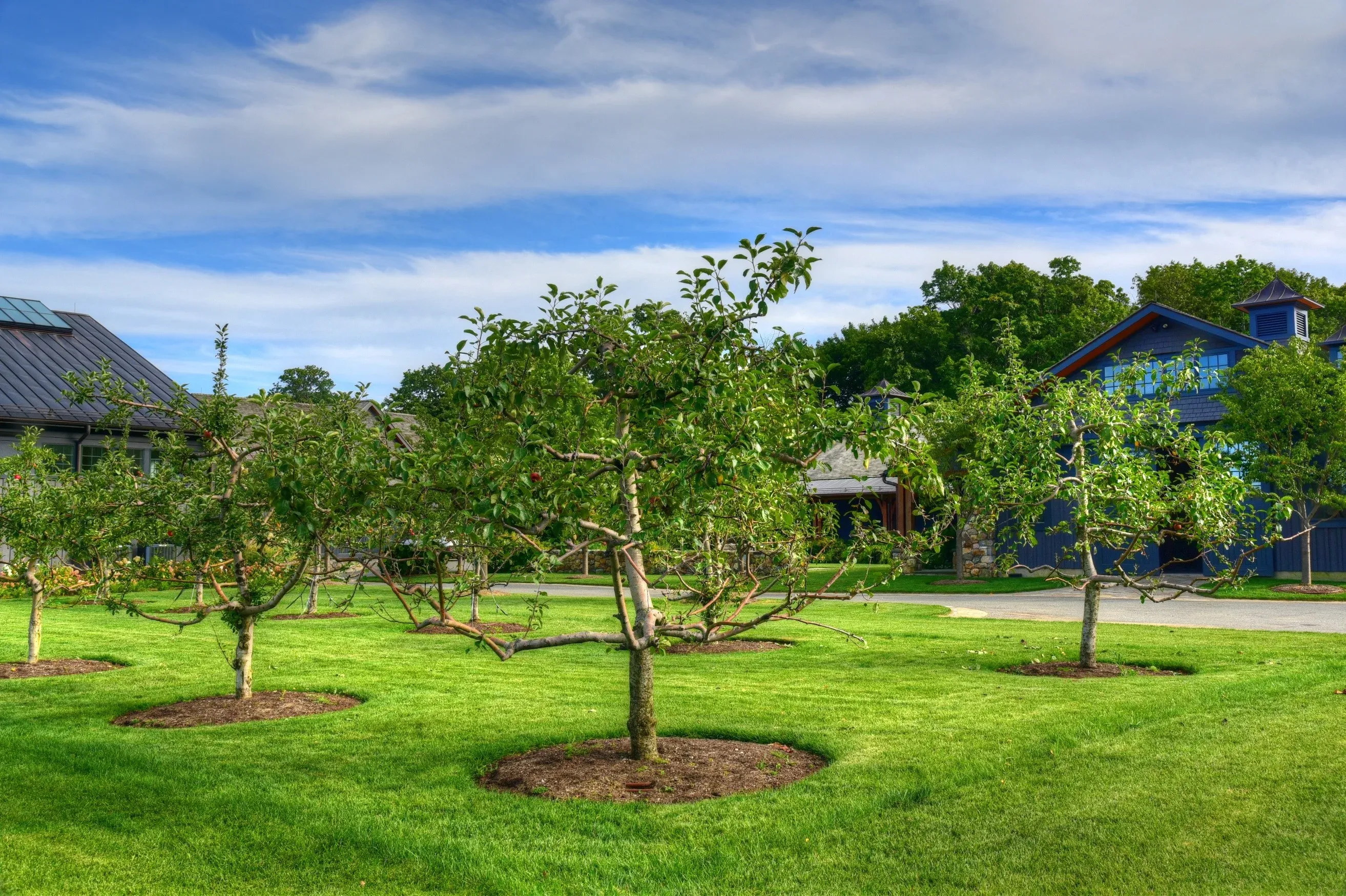 Fruit Tree Management