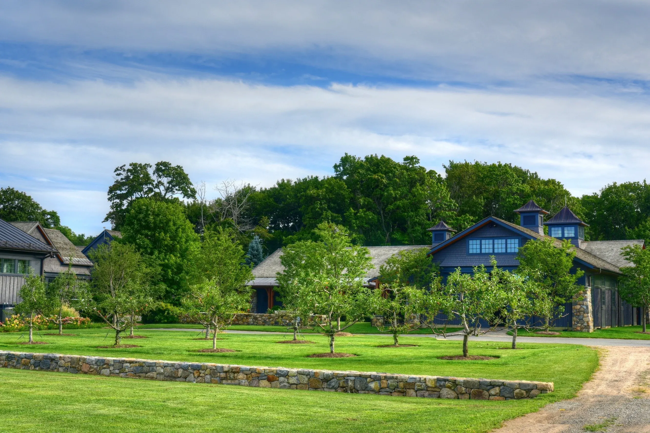 Year-round fruit tree health monitoring and care programs