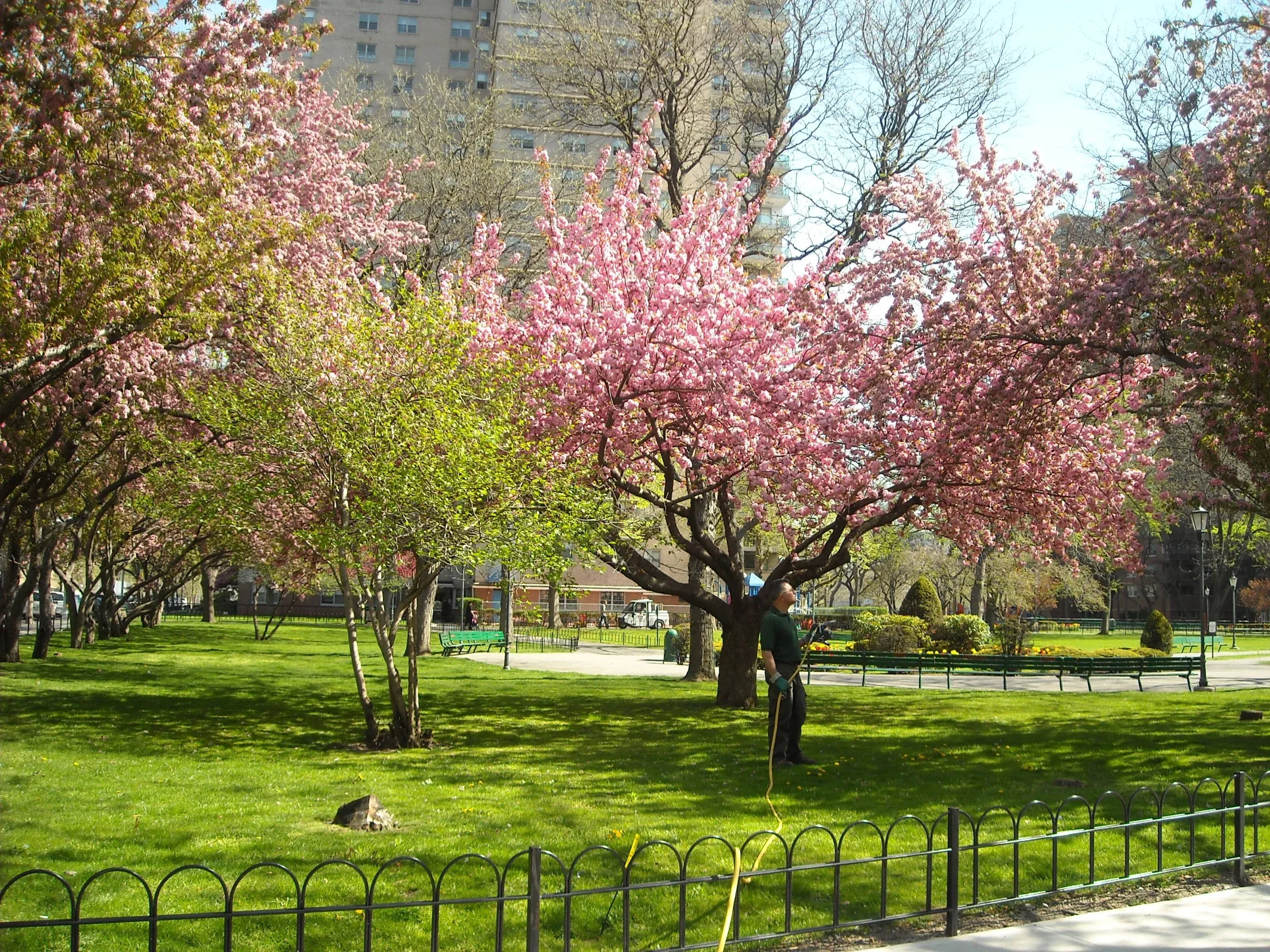 Comprehensive plant health care and integrated pest management programs