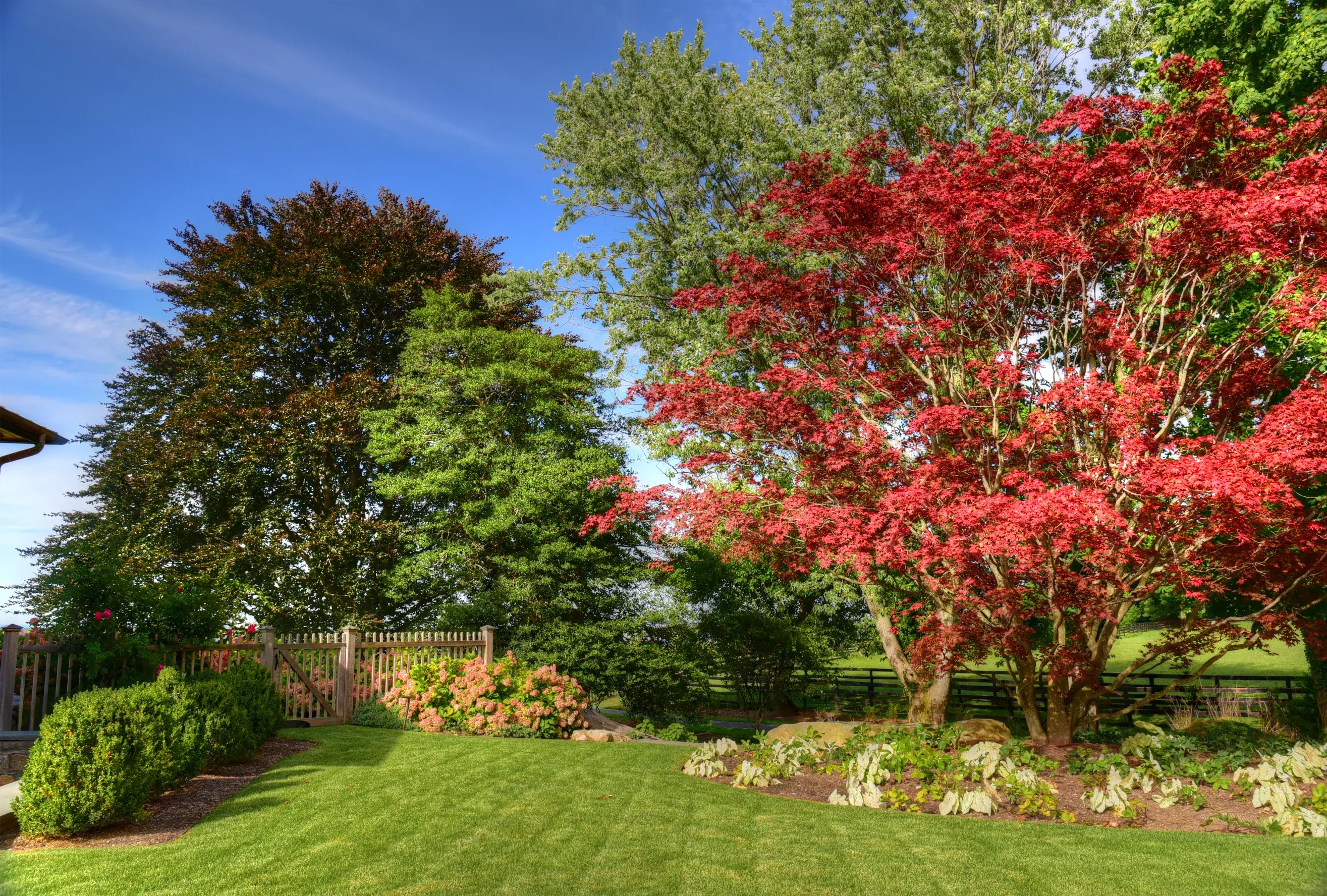 Vertical mulching treatment to alleviate soil compaction and improve root health