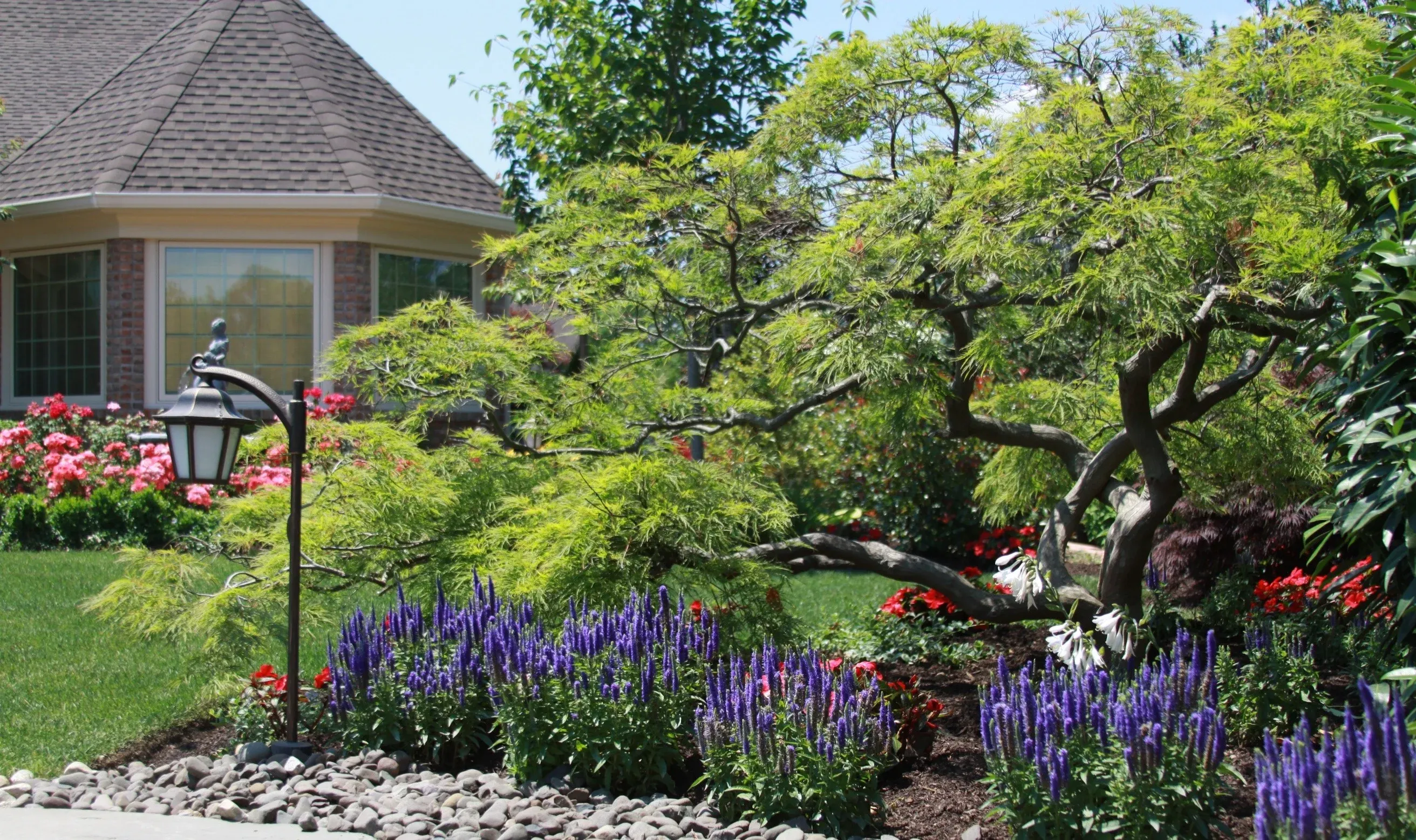 Deep root aeration and soil amendment for declining trees