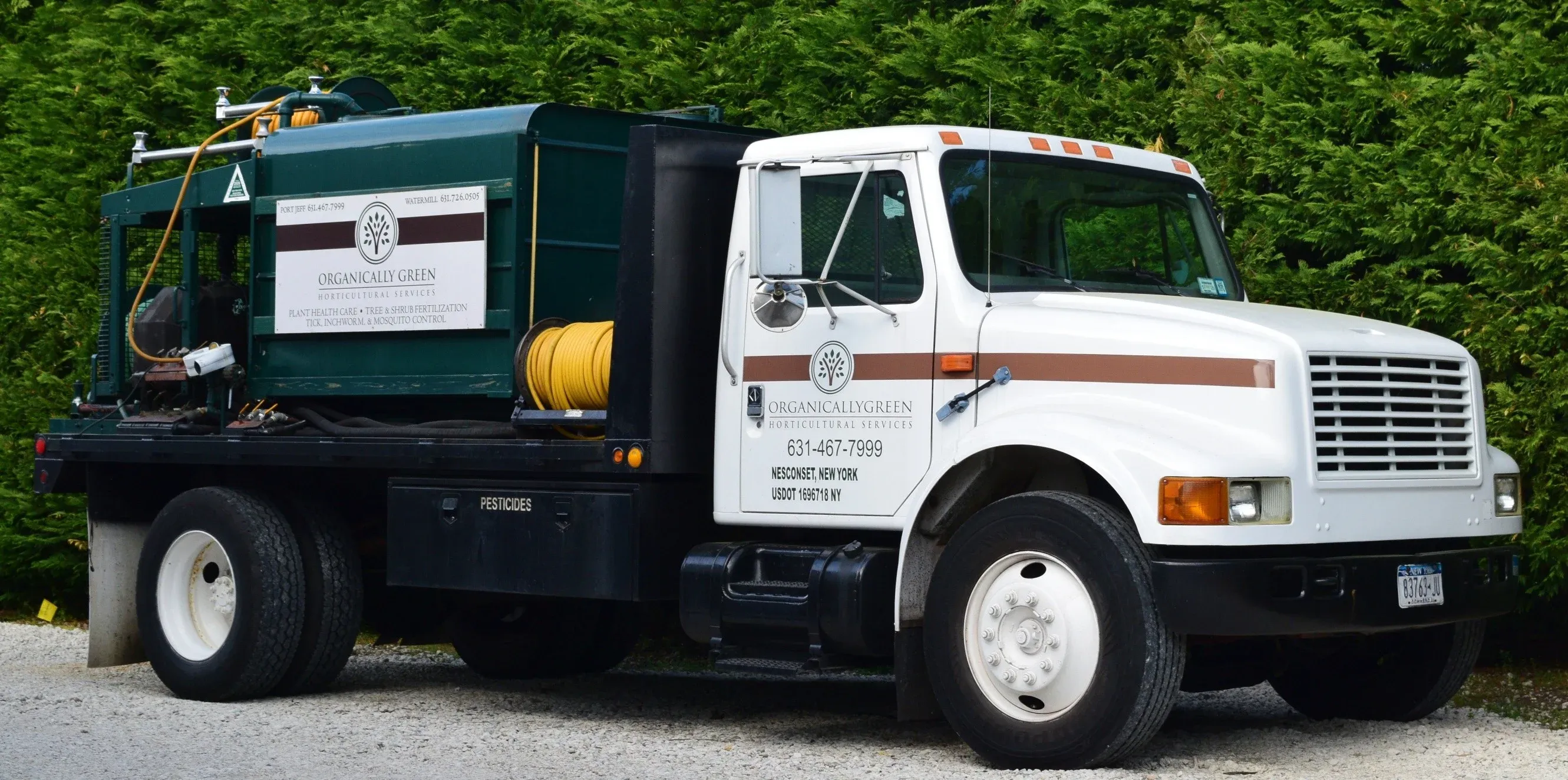 Effective spongy moth control and prevention treatments for tree protection