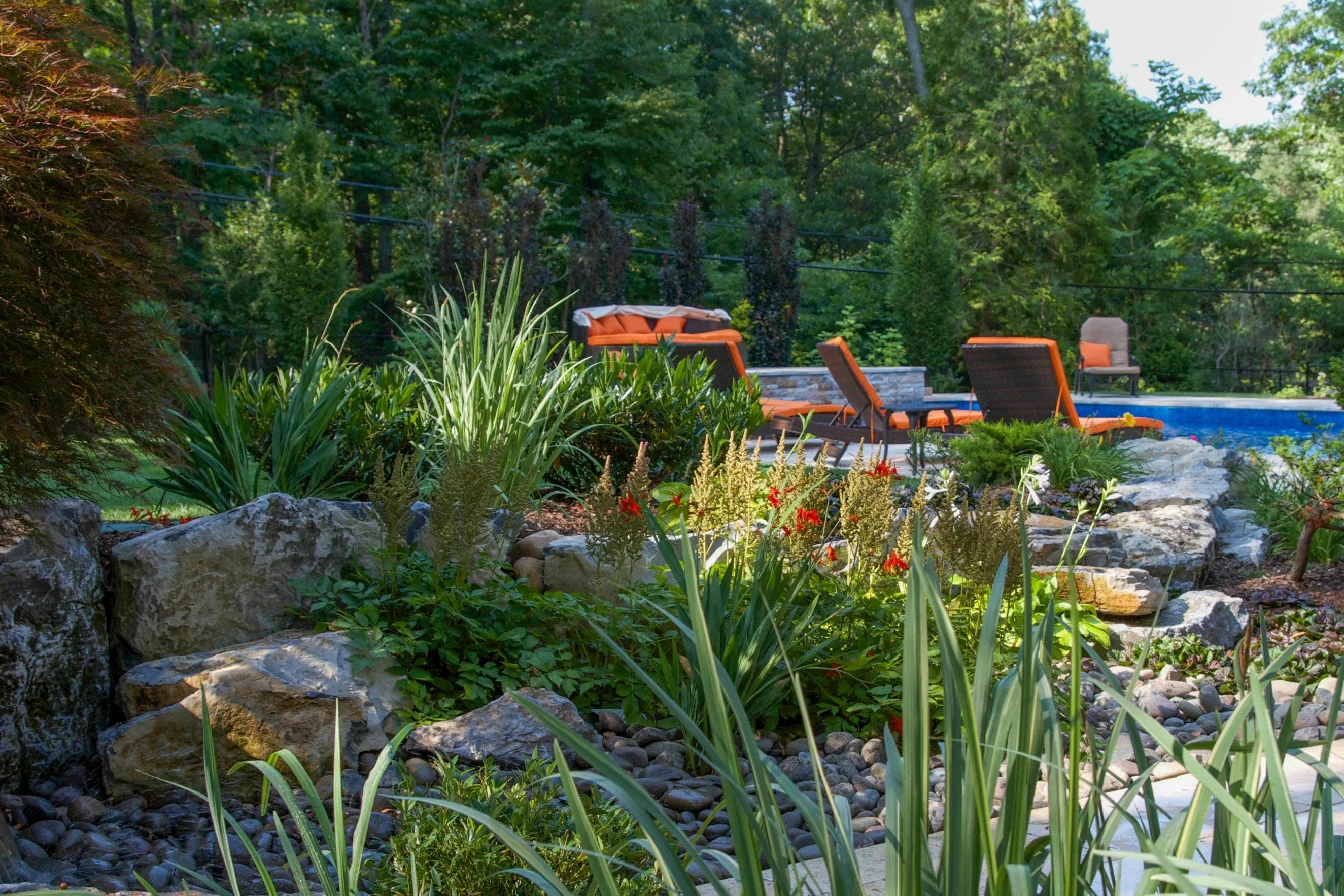 Professional Landscape Design and Installation