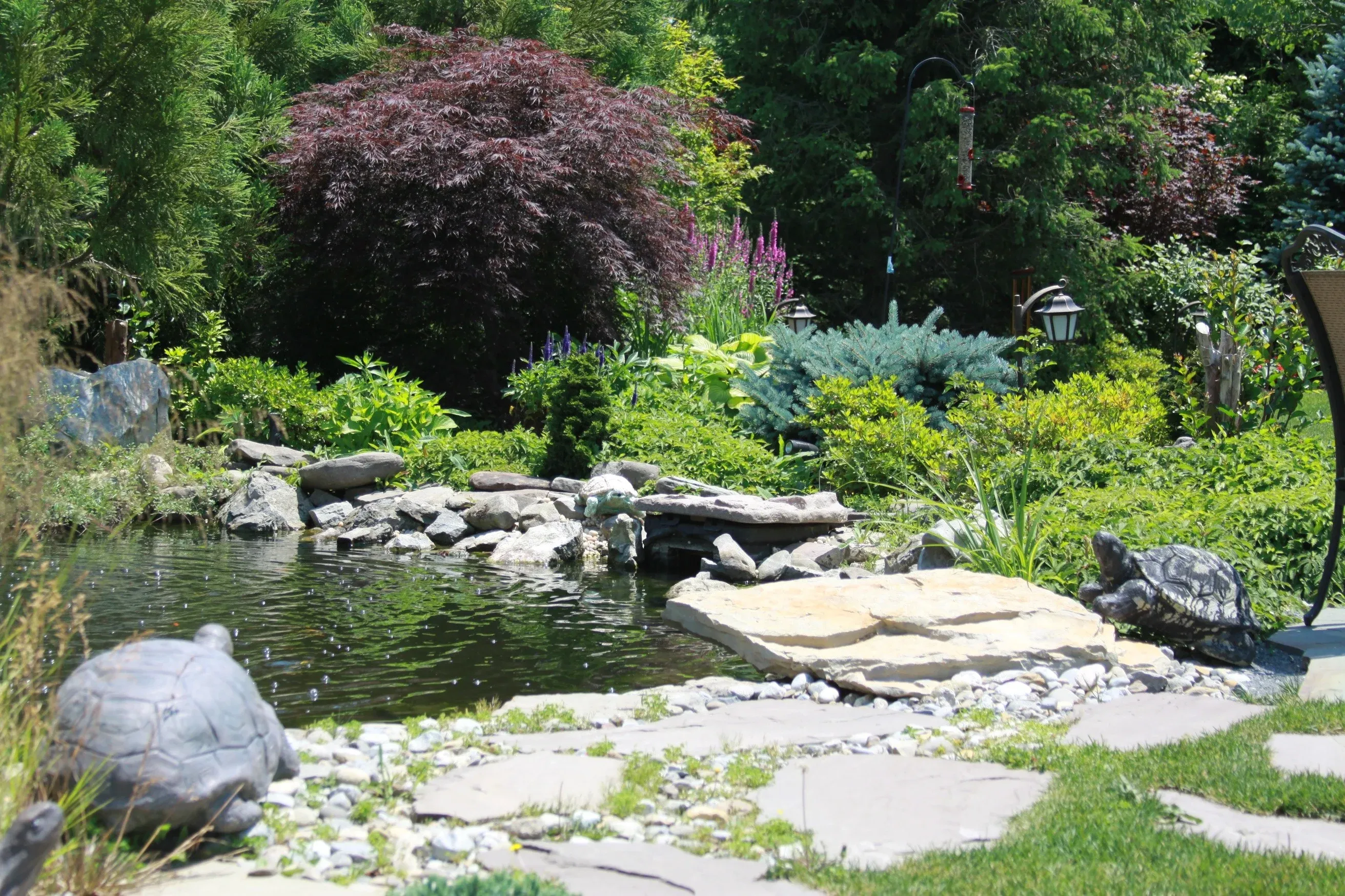 Professional landscape services on Long Island