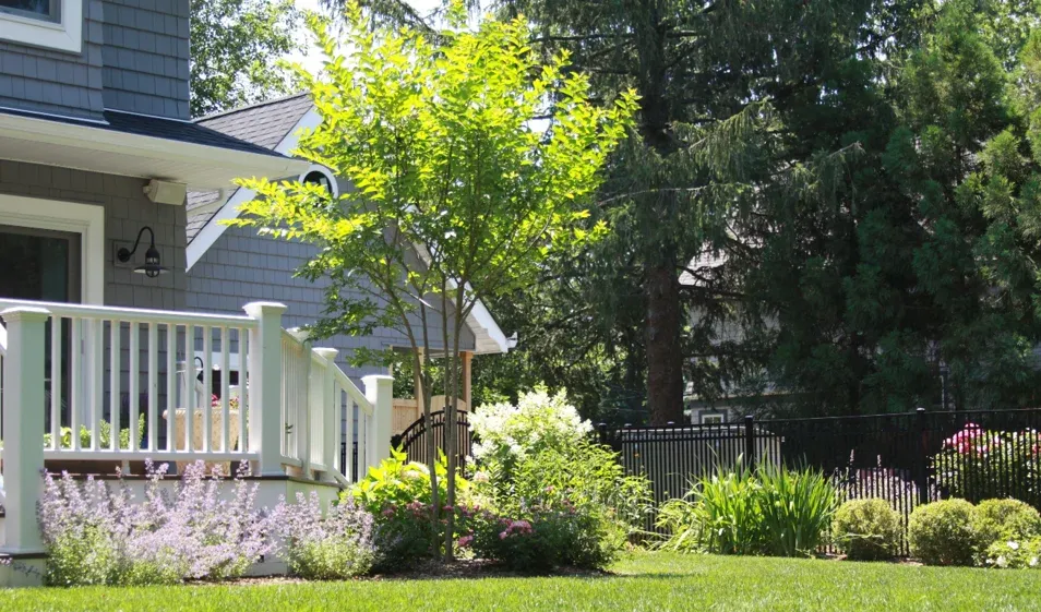 Professional Landscape Services