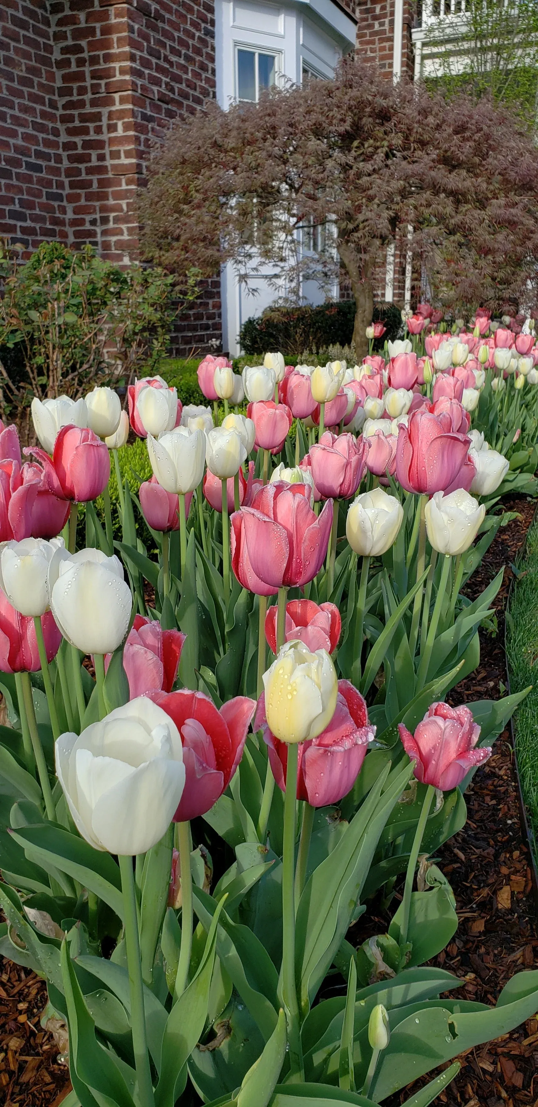 Beautiful seasonal plantings and displays